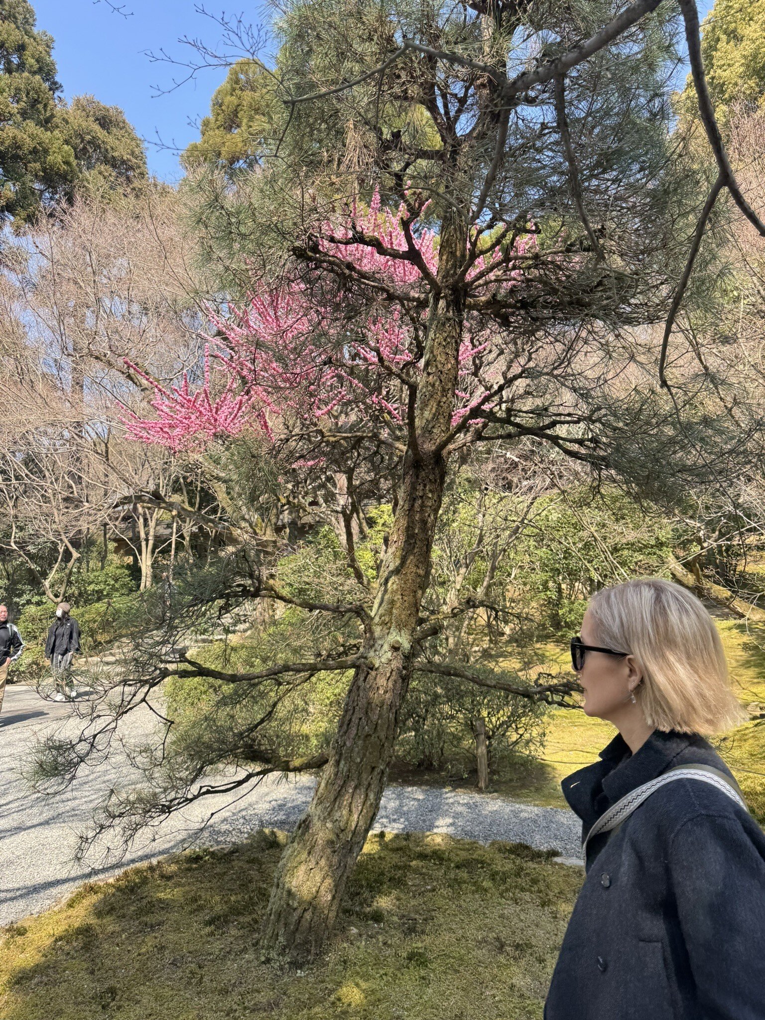 Four Seasons Kyoto