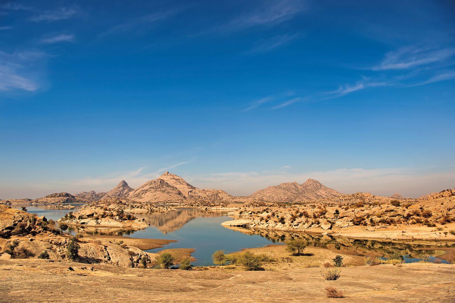 Jawai_Bandh_the-family-project