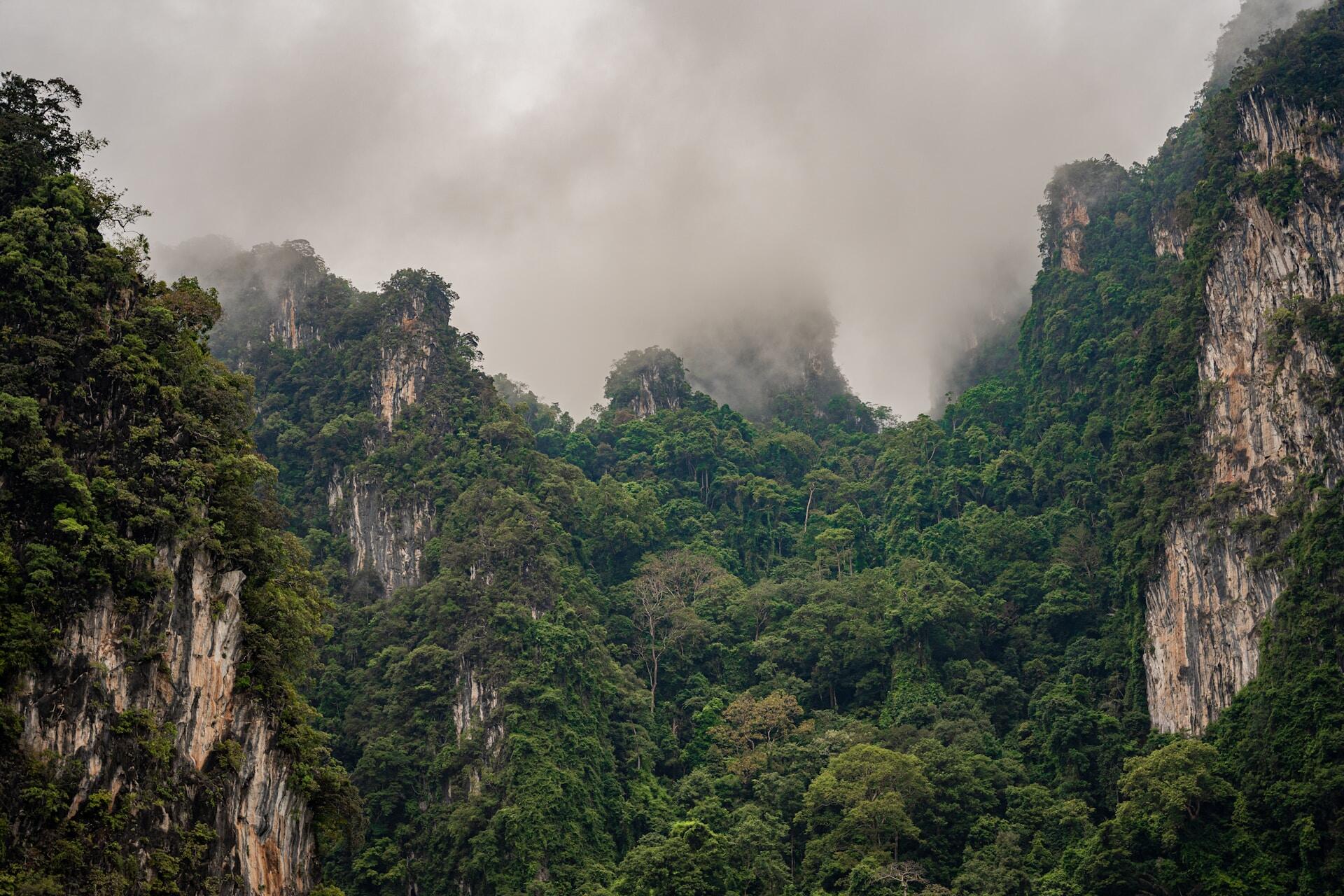 Malaysia Aufnahme von Natur 