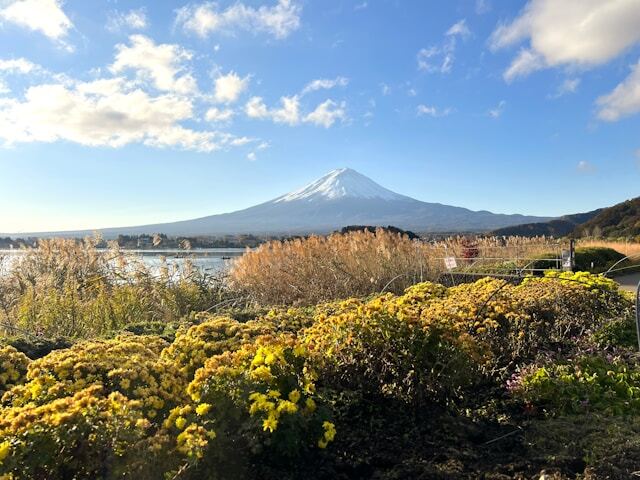 Oishi_Park_familienreise