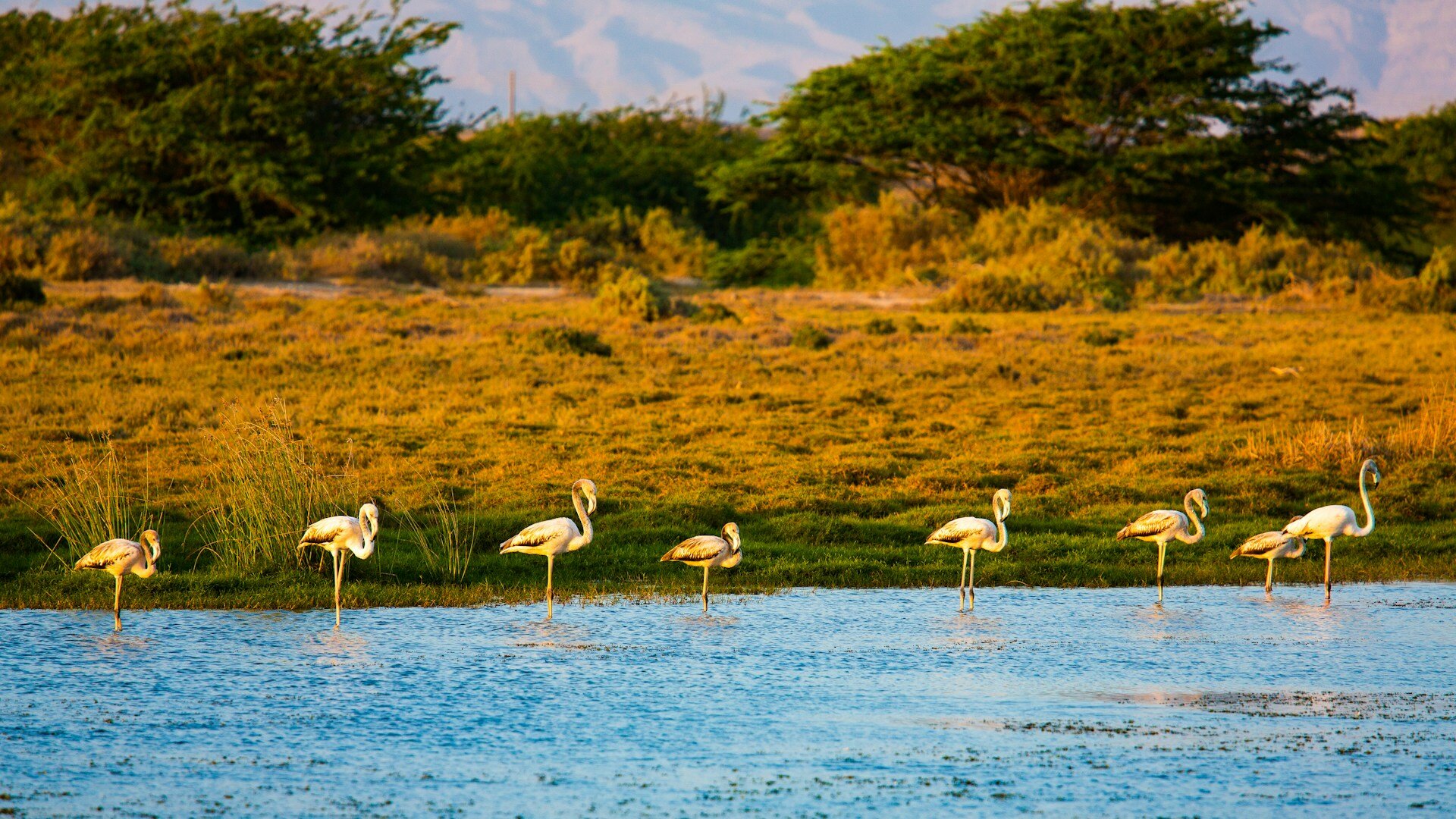 Oman-Salalah-familienluxusreise