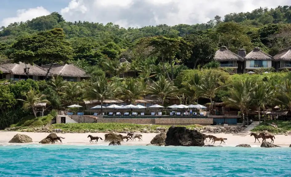 Das Bild zeigt ein türkisblaues Meer mit einem Sandstrand, über den Pferde galoppieren. In Hintergrund sind verschiedene Unterkünfte der Insel zu sehen.