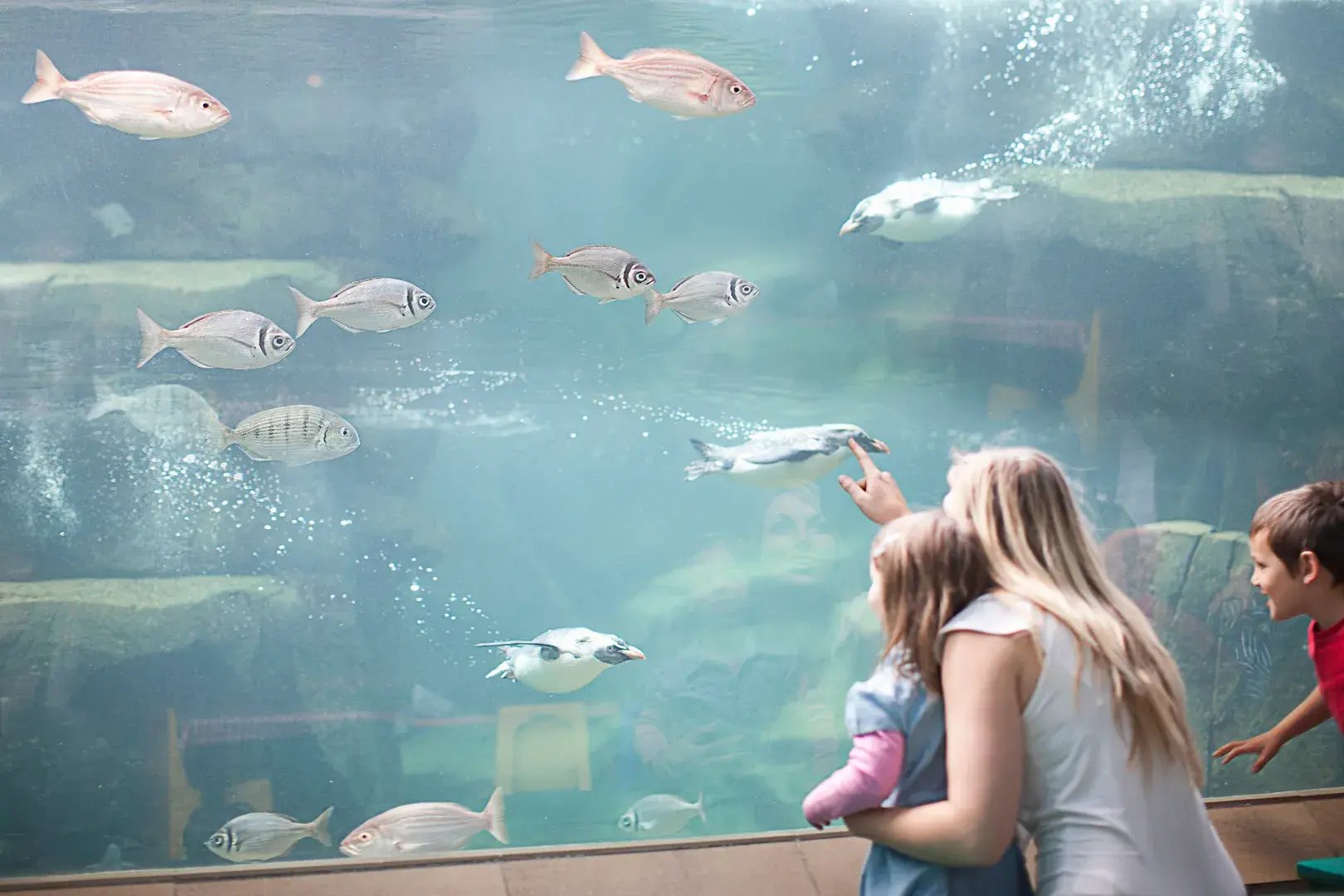 Kinder im Aquarium