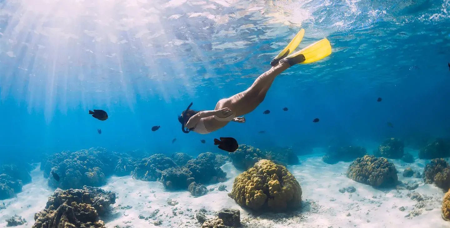 6 anguilla aurora schnorcheln aktivitaten