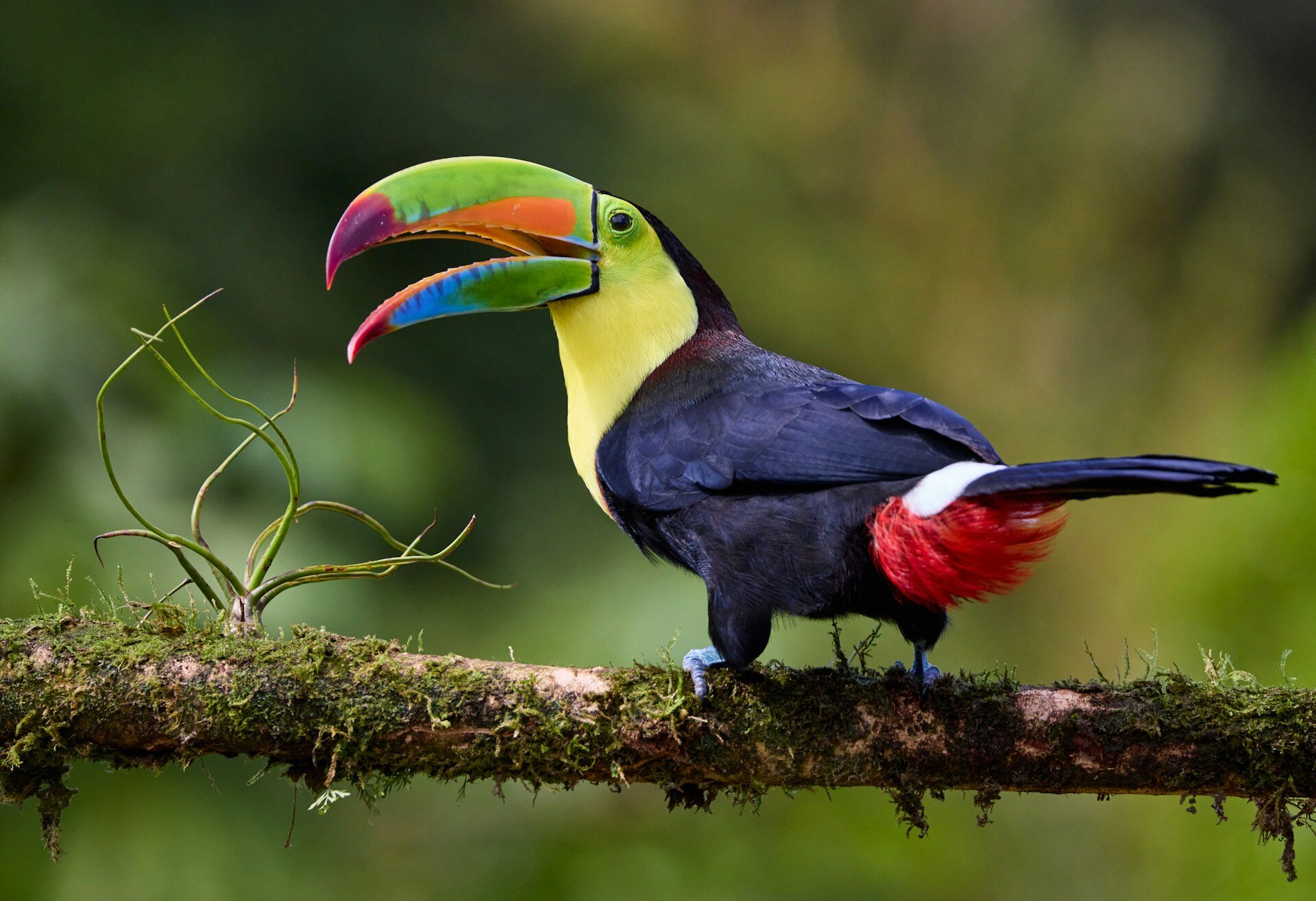 Costa-Rica-Luxusreise-mit-Kind