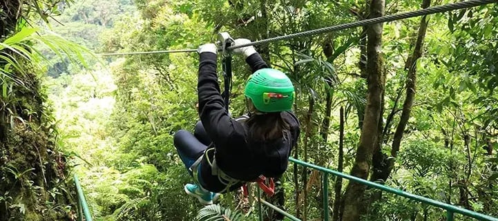 7 costa rica regenwald aktivitaten familienspass