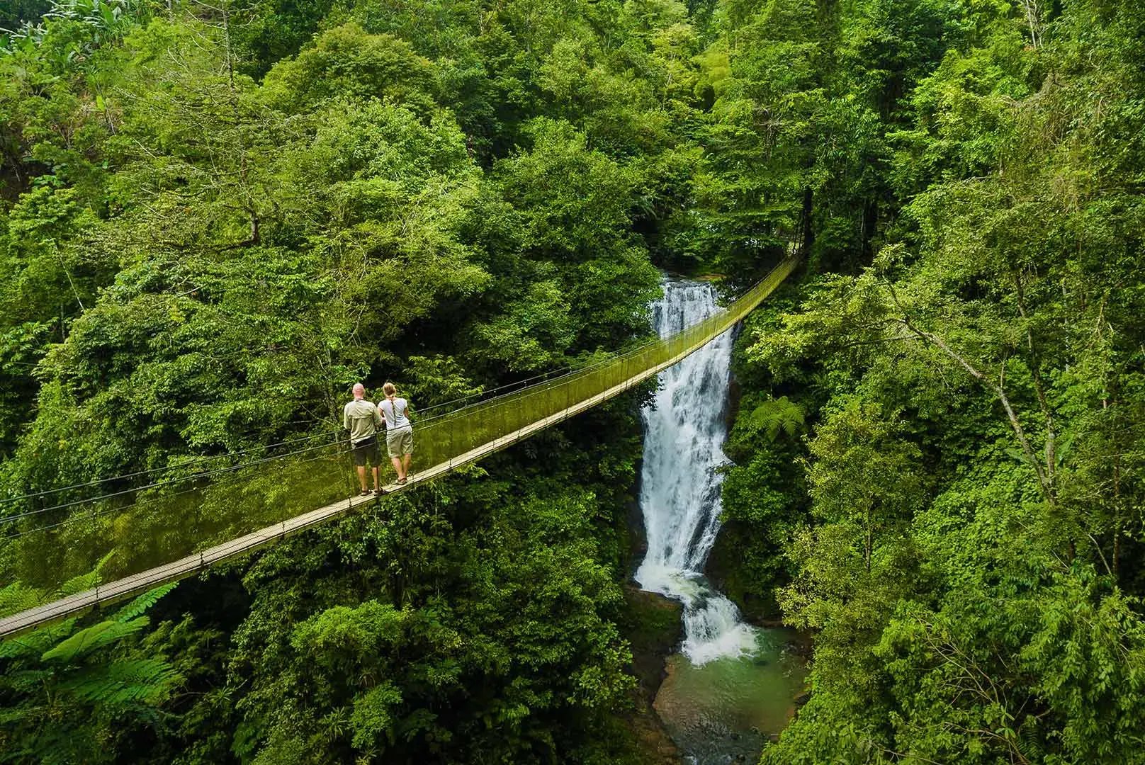 8-costa-rica-regenwald-aktivitaten-wandern