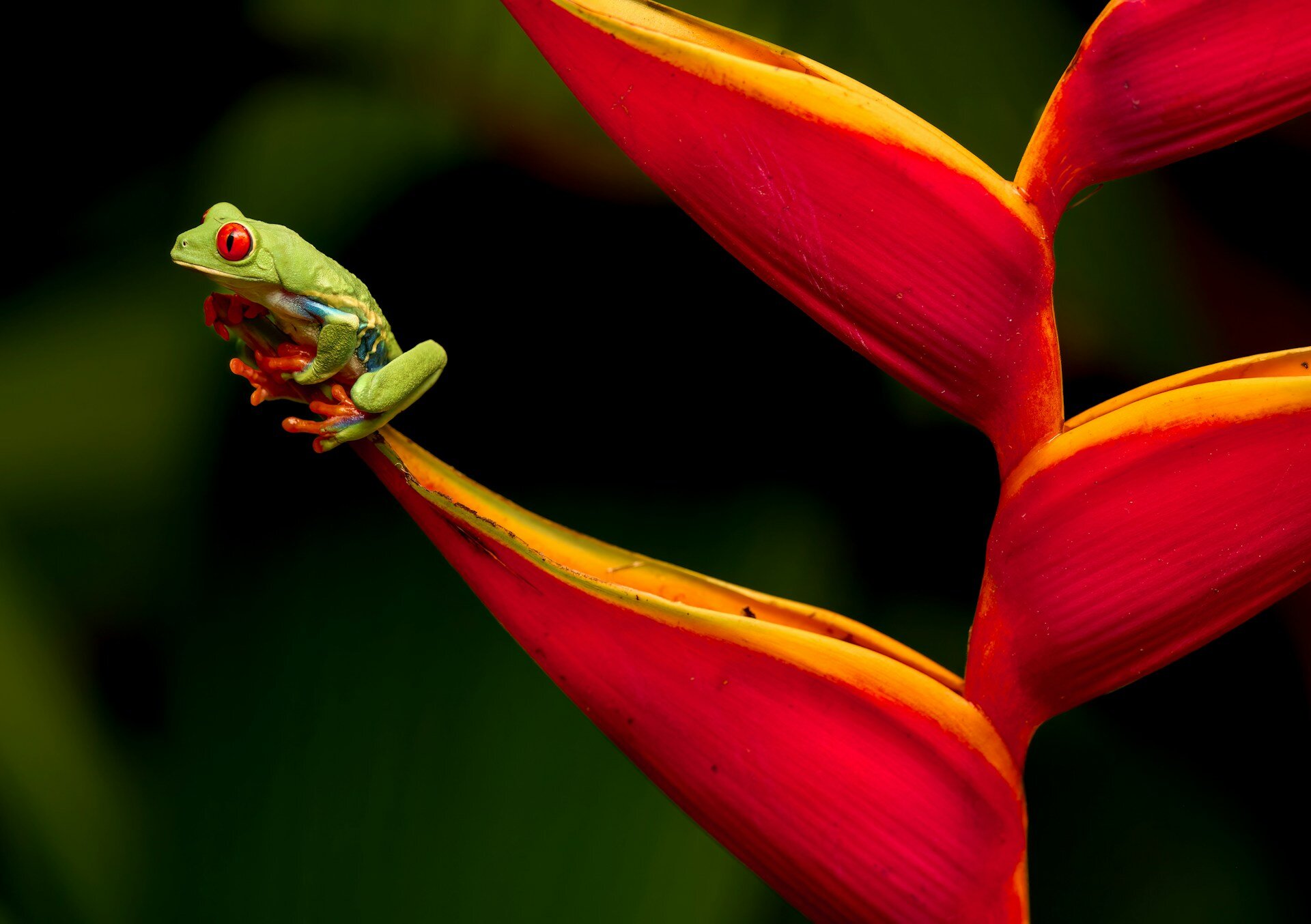 Costa-Rica-mit-Kind