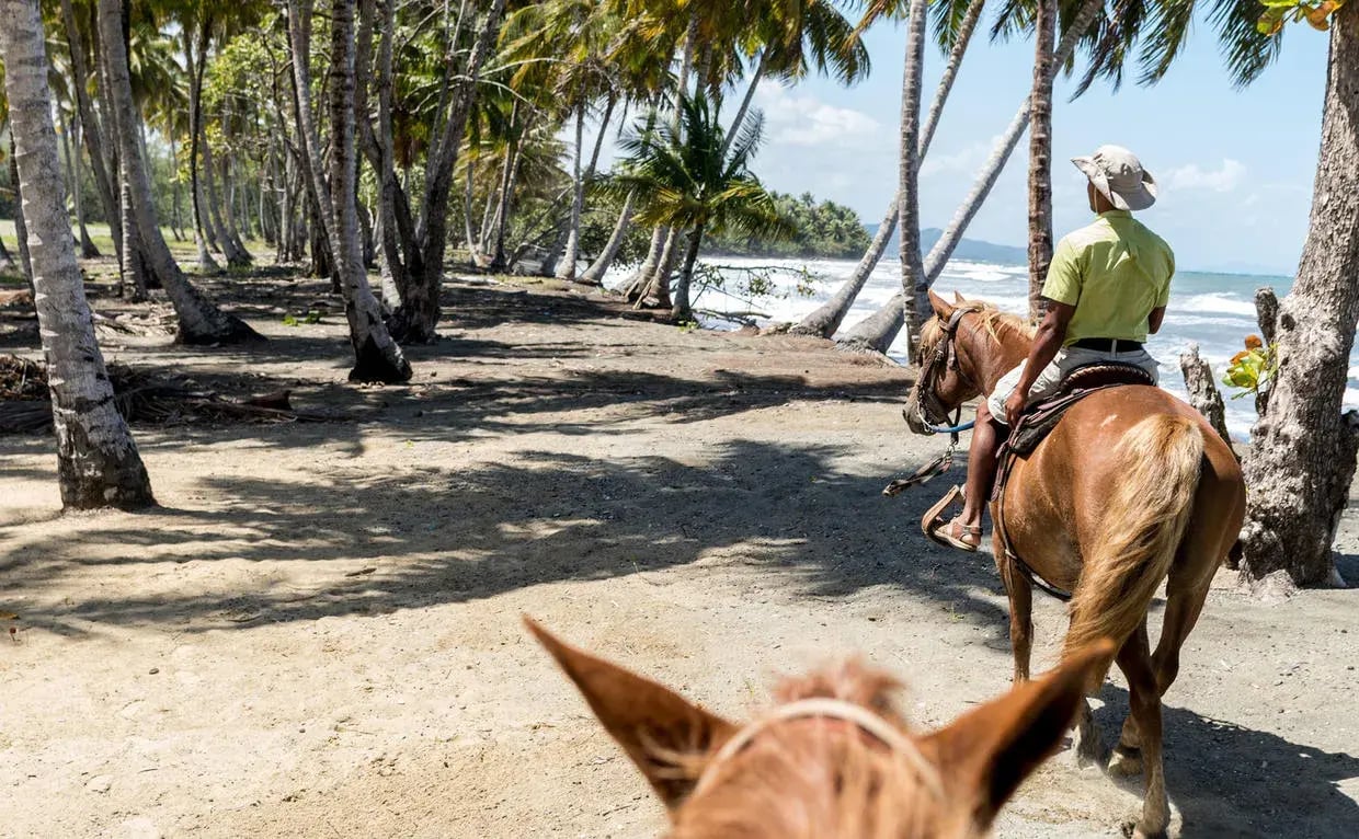 10 dominikanische republik reiten strand exklusiv