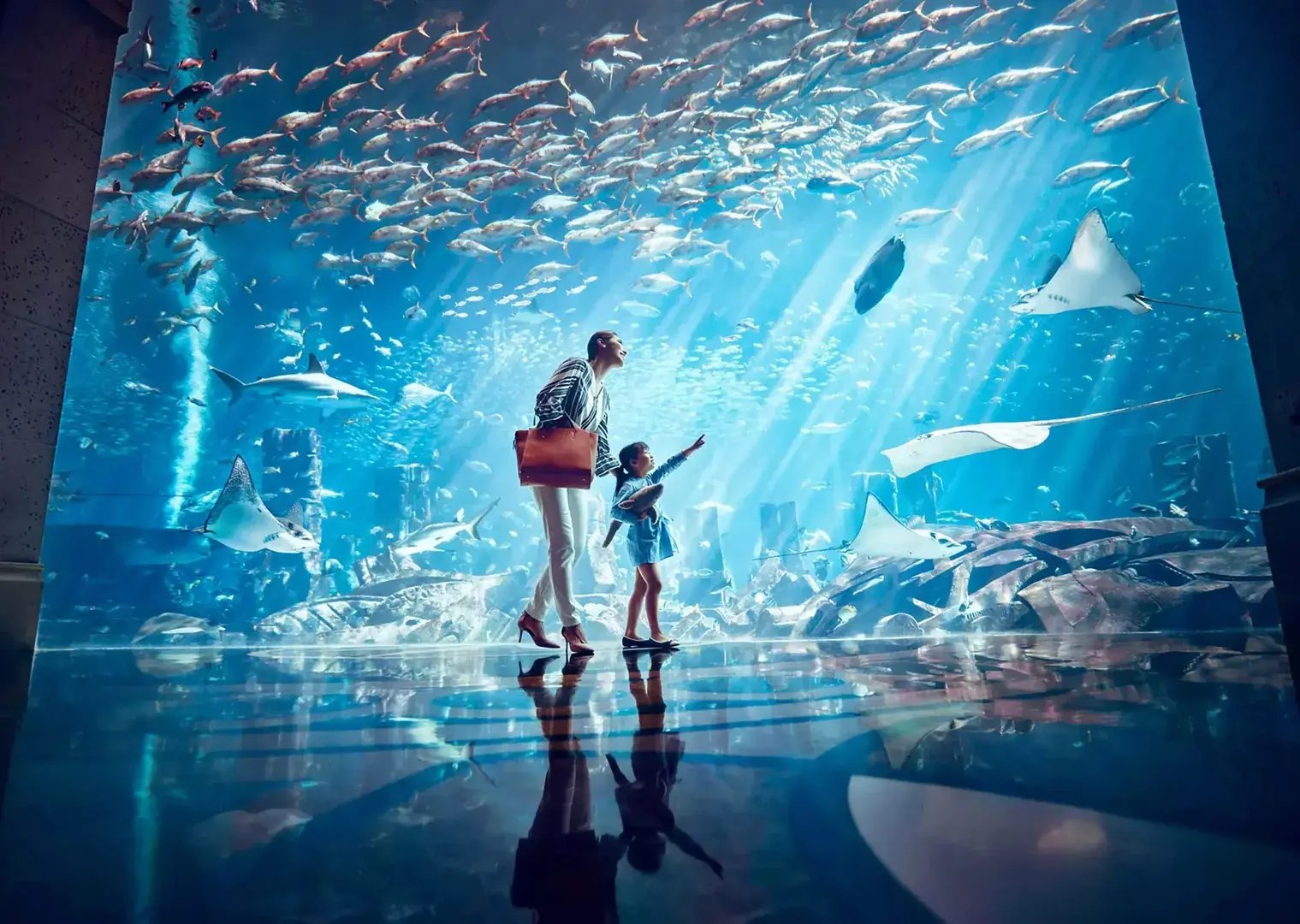 9 dubai aquarium familienluxusreisen