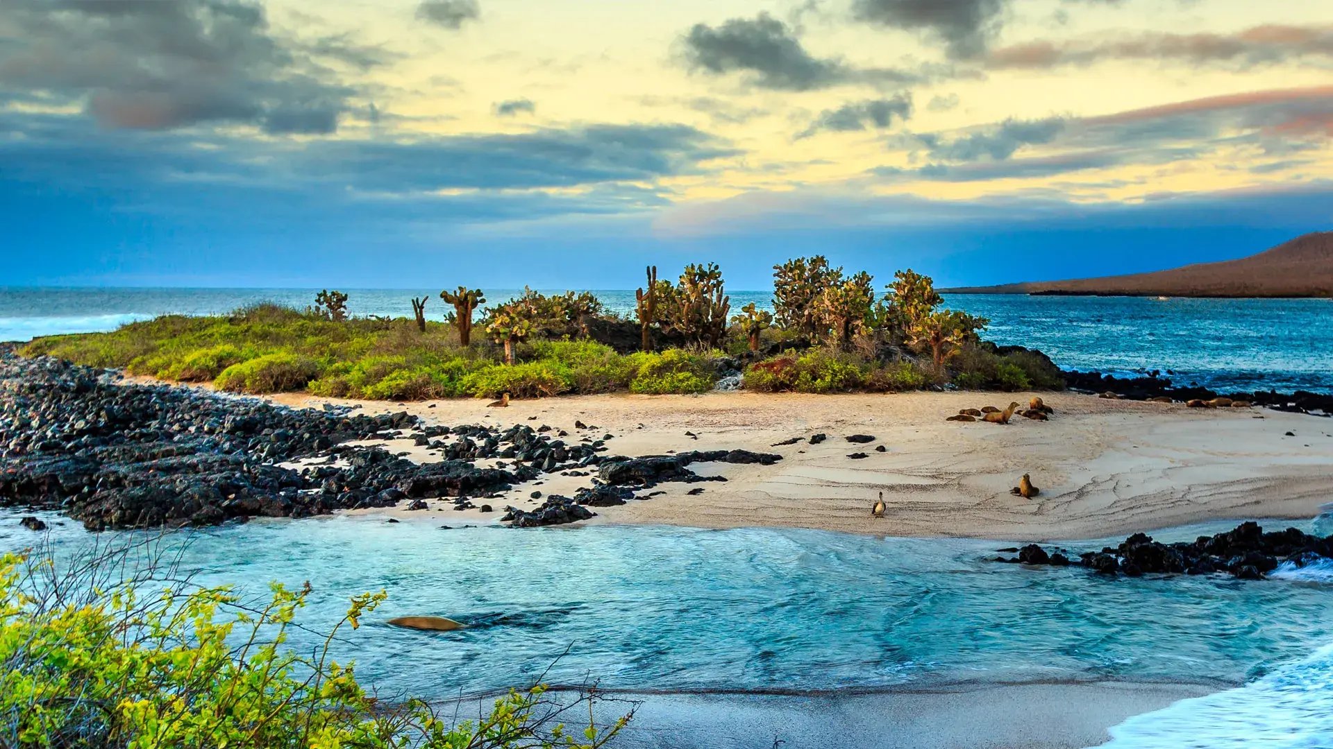 Galapagos Inseln