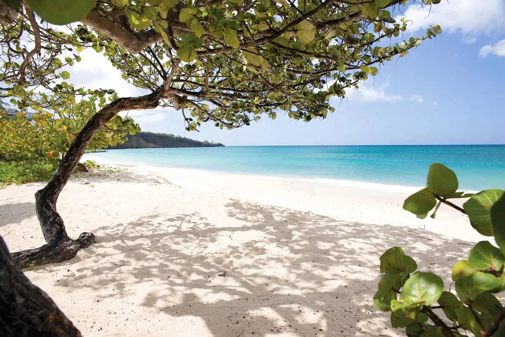4-grenada-spice-island-resort-strand-naturparadies