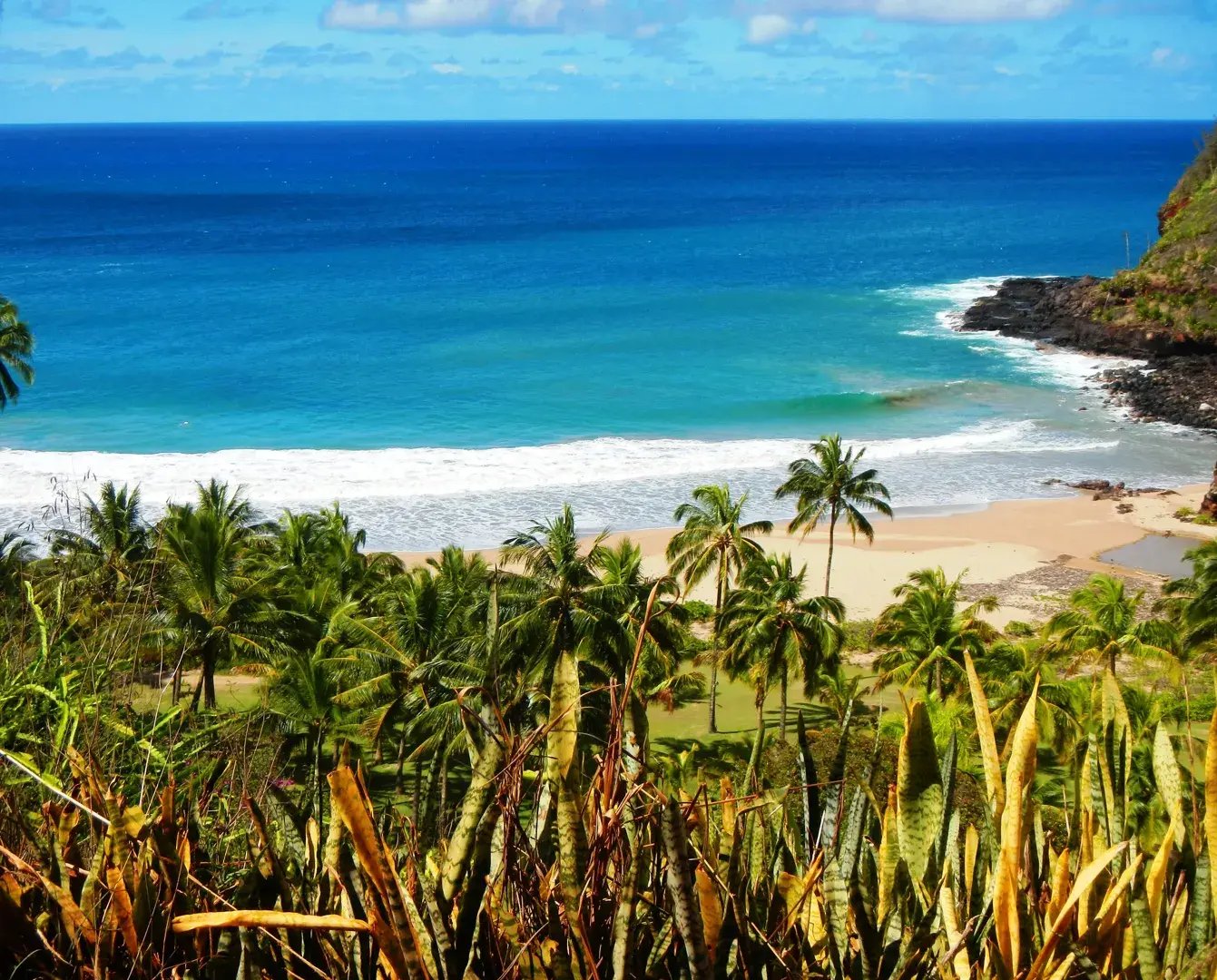 5 hawaii naturparadies familienluxusreisen