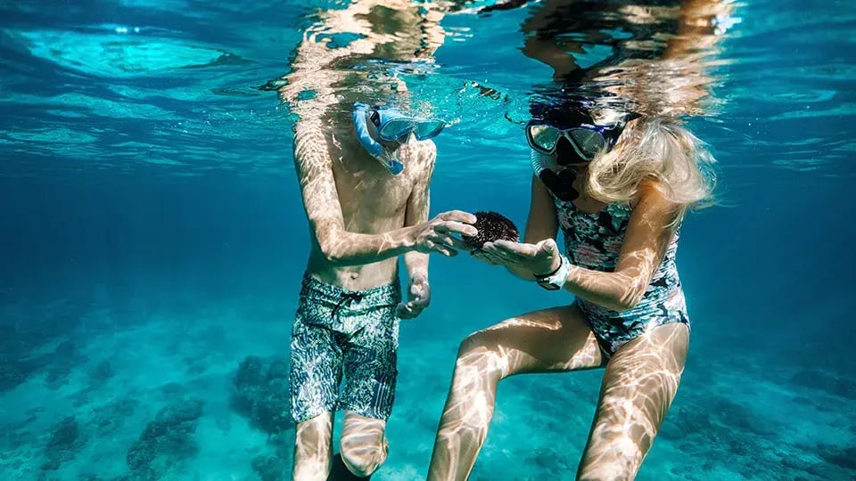 8 hawaii aktivitaten tauchen familienspass