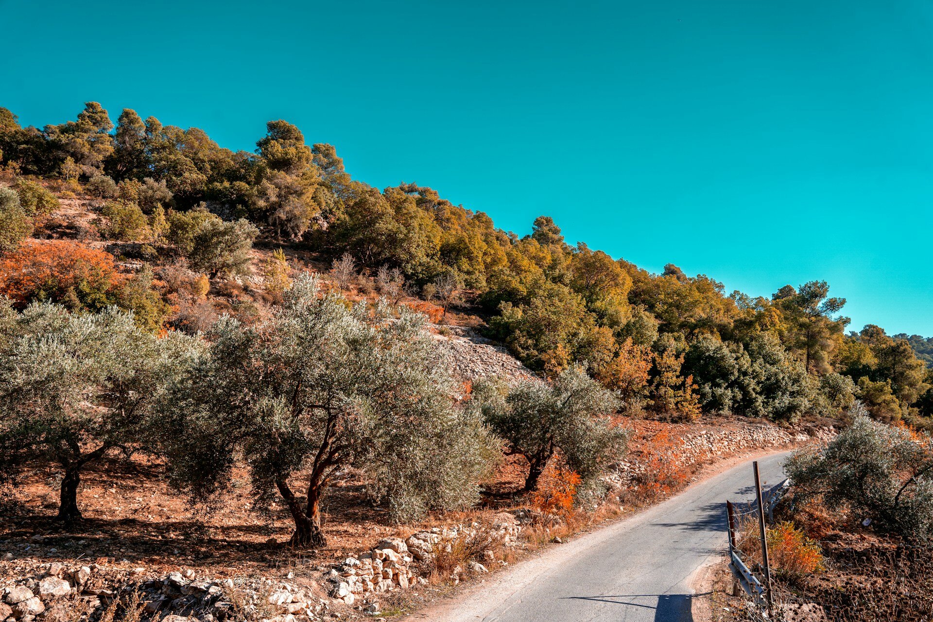 Landschaft in Jordanien