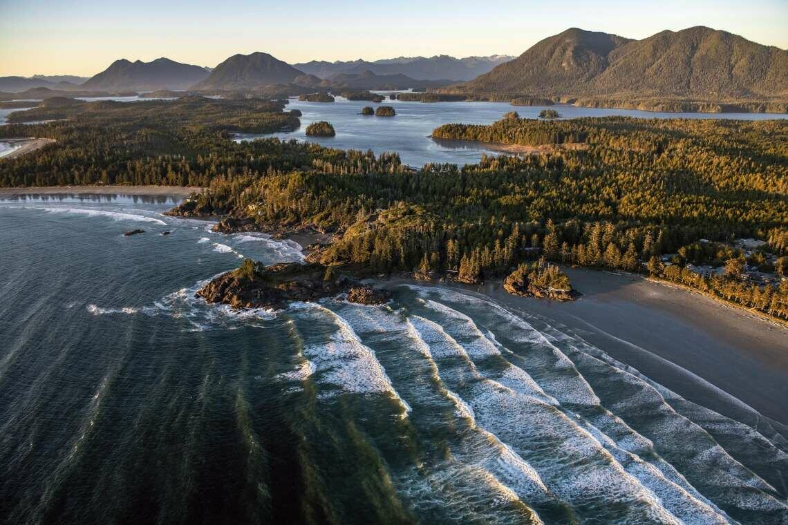Wälder auf Vancouver Island