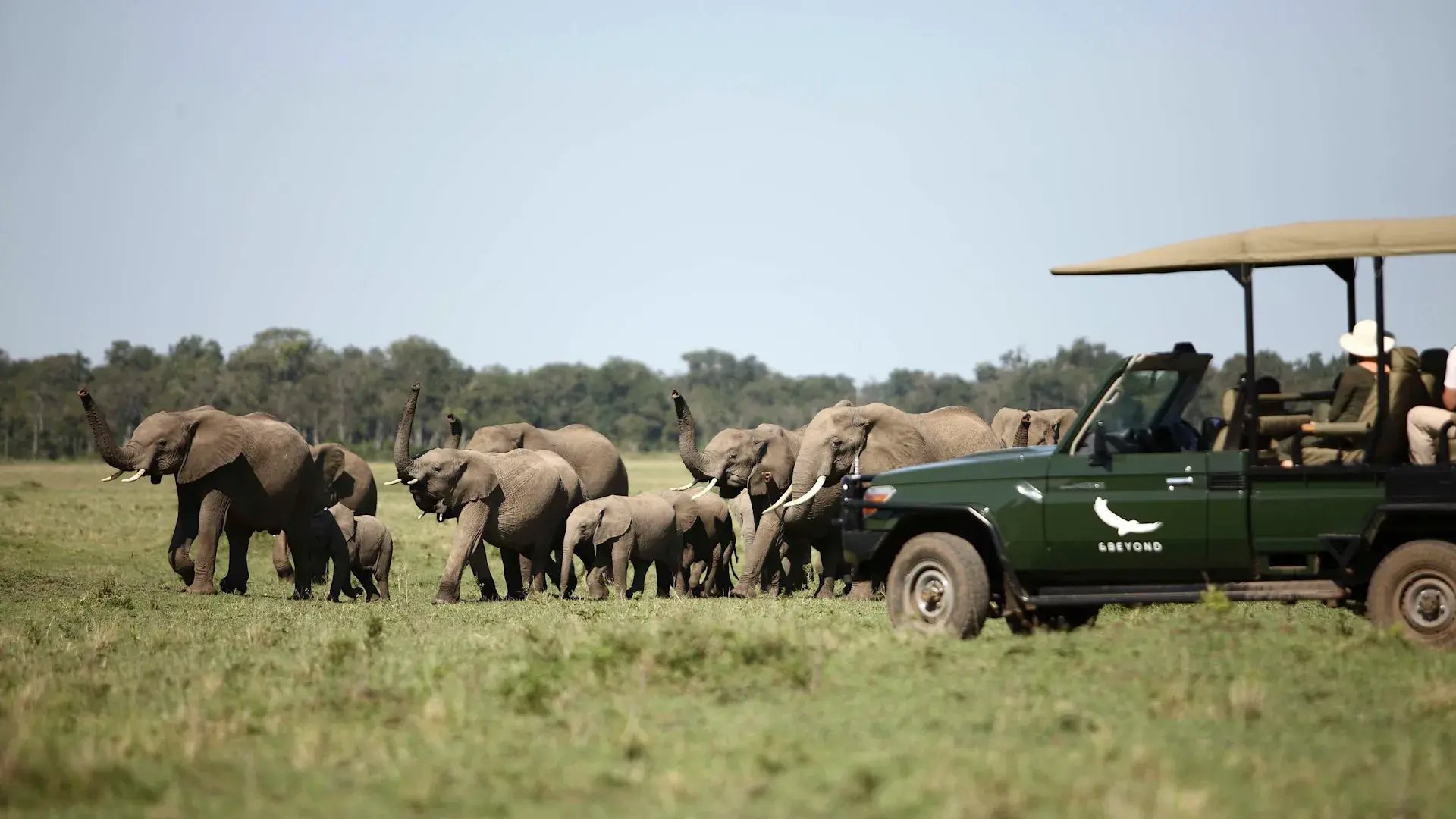 7 africa kenya masai mara kichwa experience game drive elefante familieluxusreise