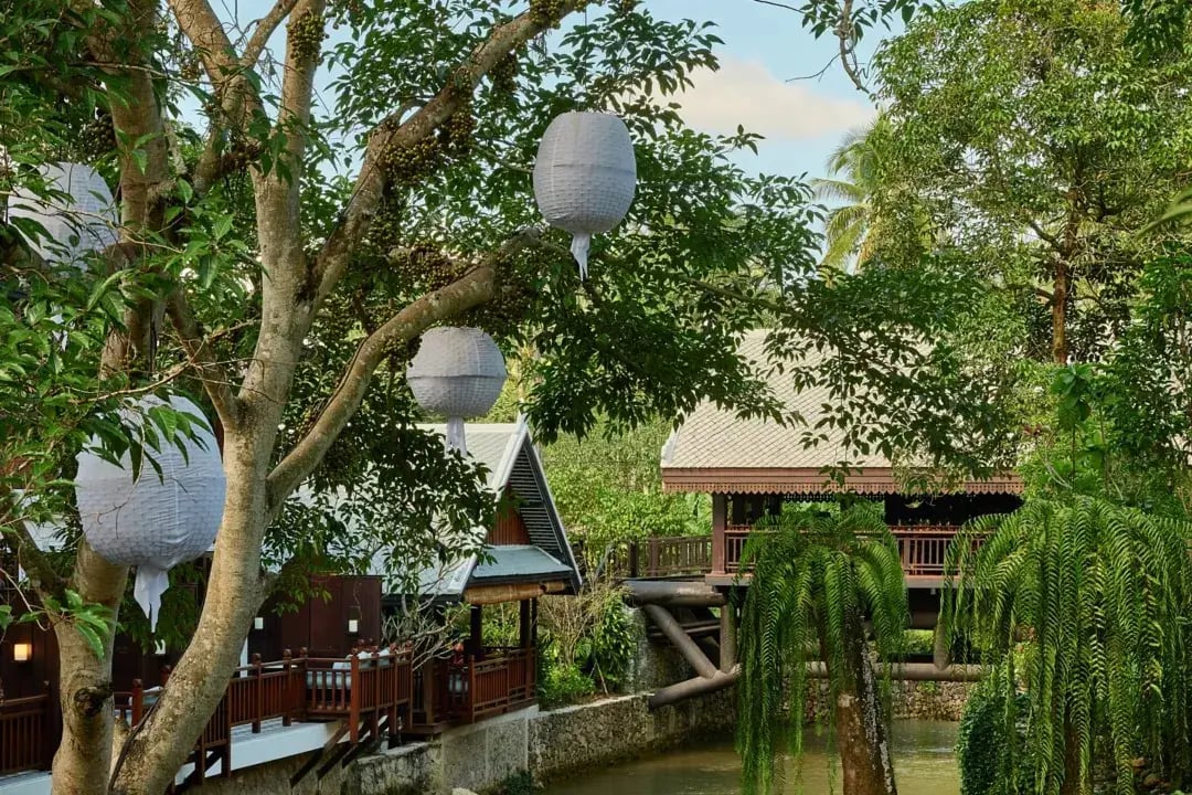 8 laos rosewood elephant bar restaurant familienluxusreisen