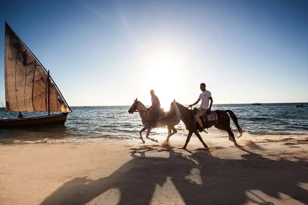 zwei Pferde am Strand vor Boot