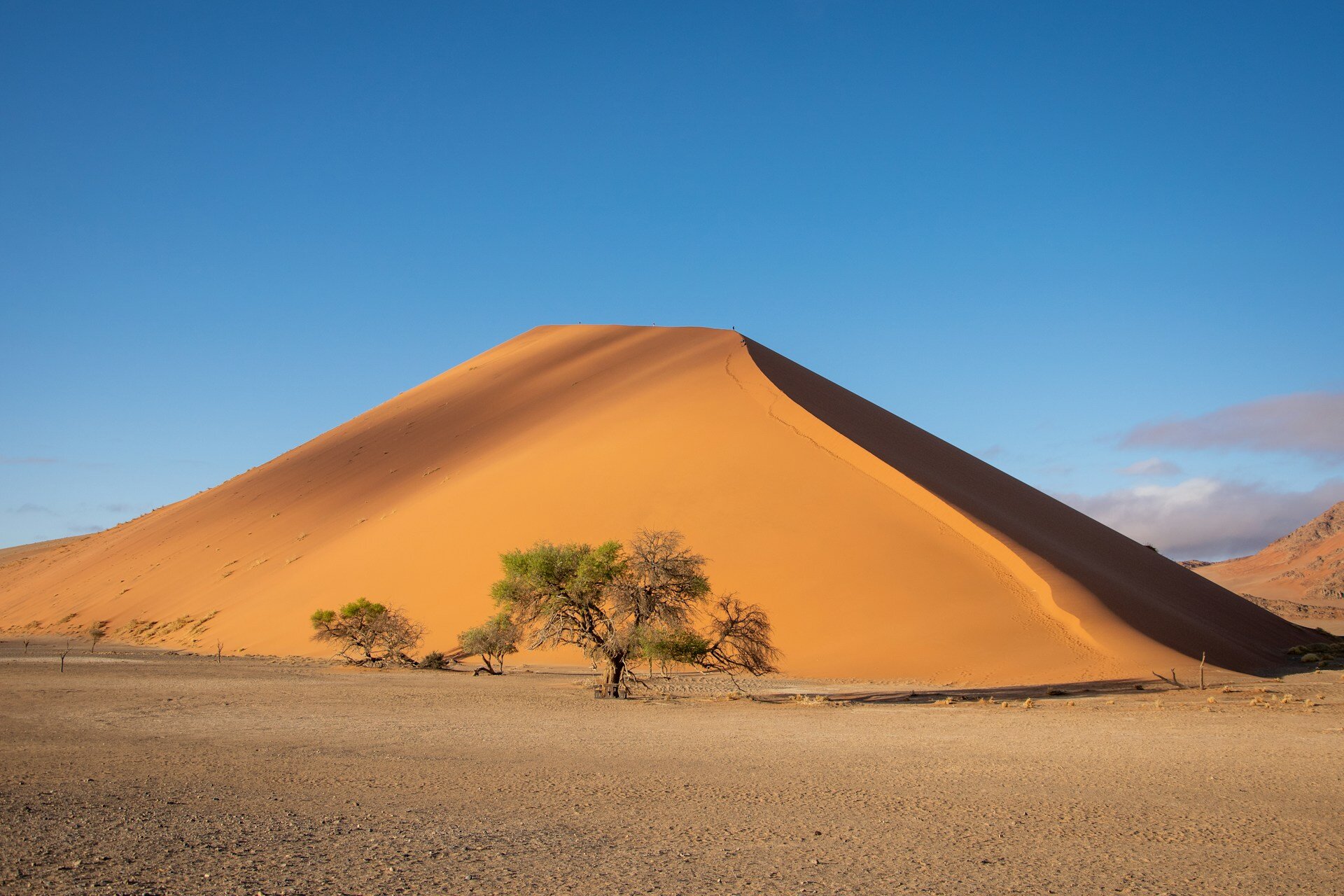 Namibia-big-daddy-familienreise