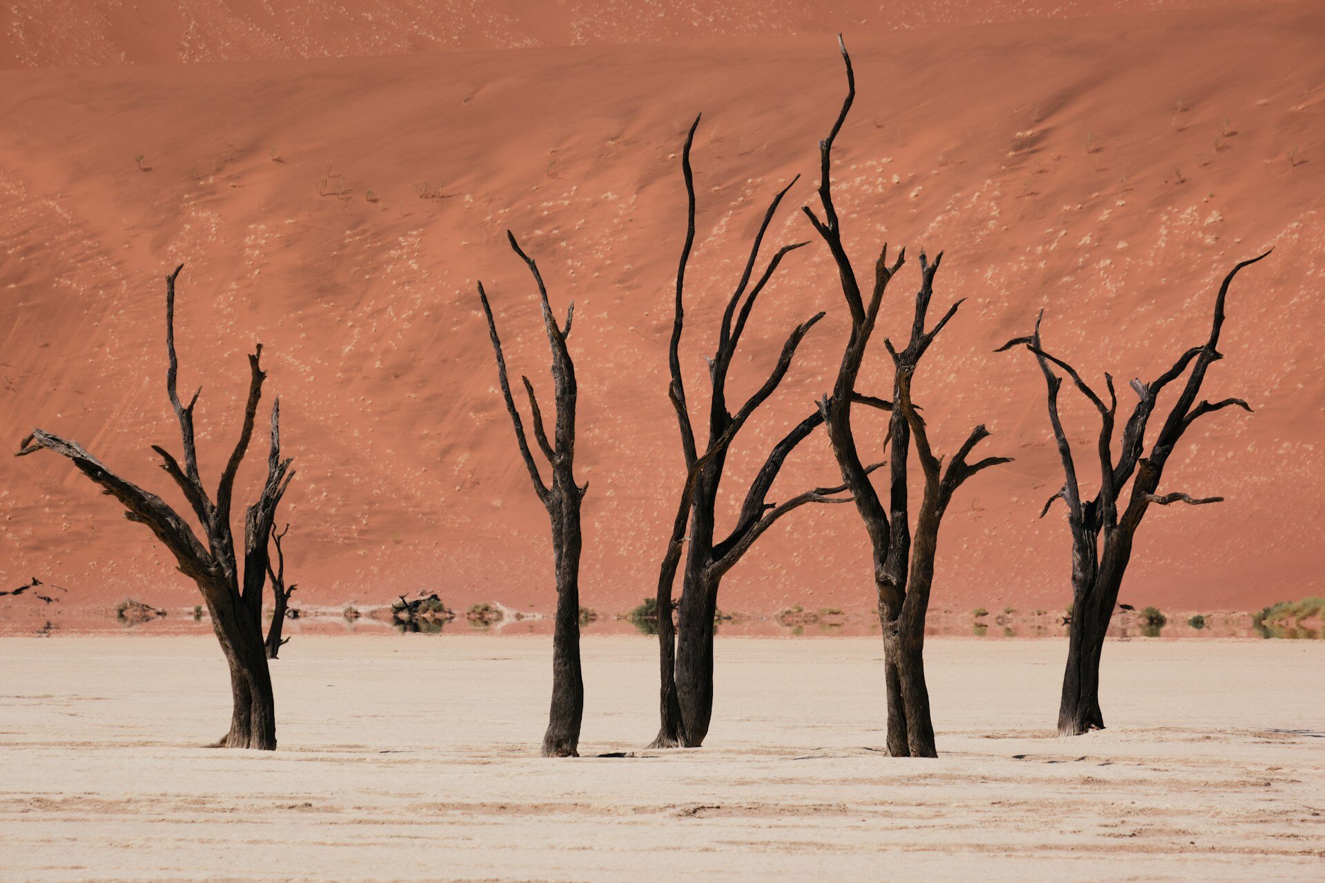 Deadvlei in namibischer Sossusvlei Wüste