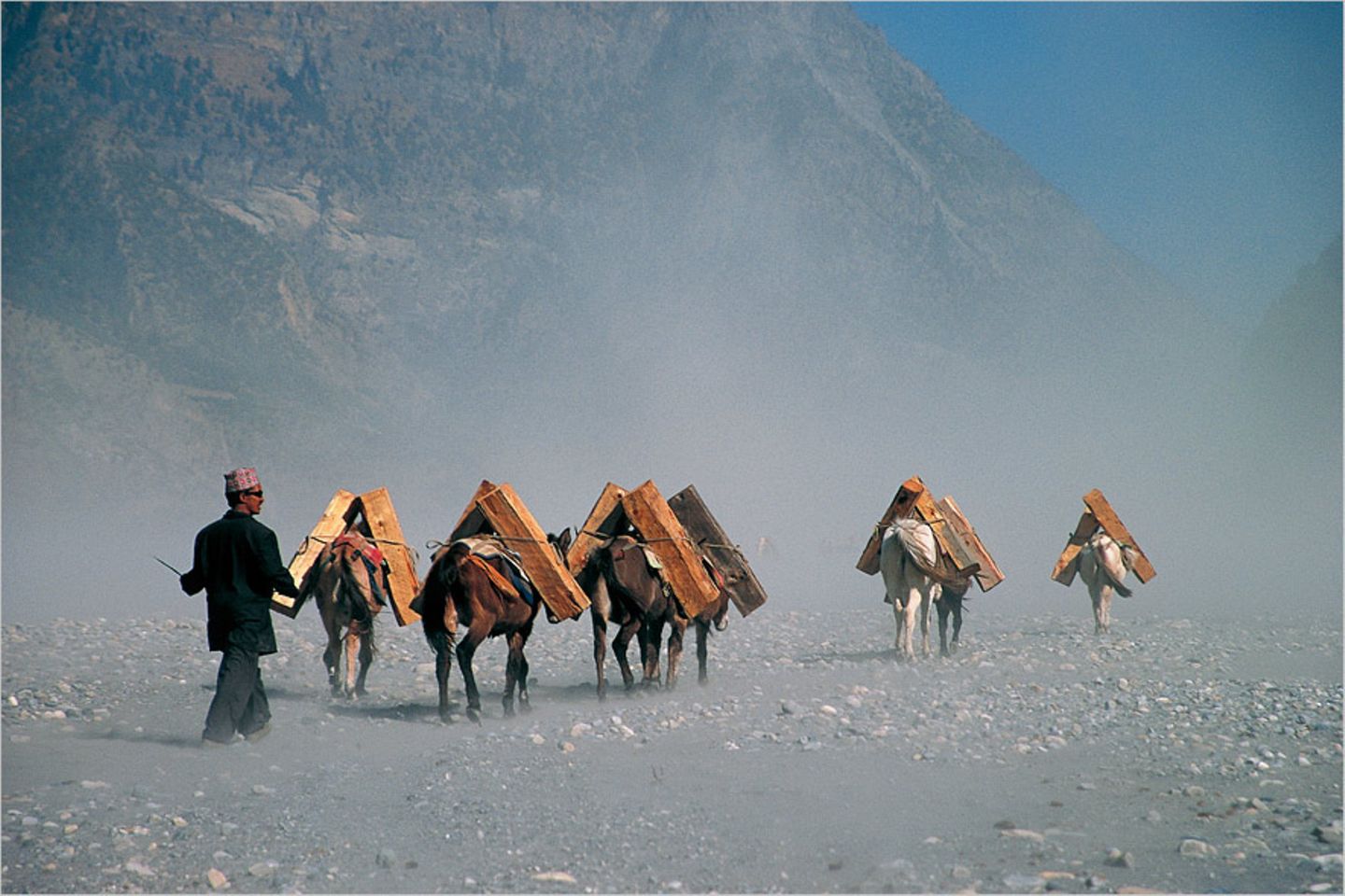 nepal-reiseland-familienluxusreisen-thefamilyproject-esel