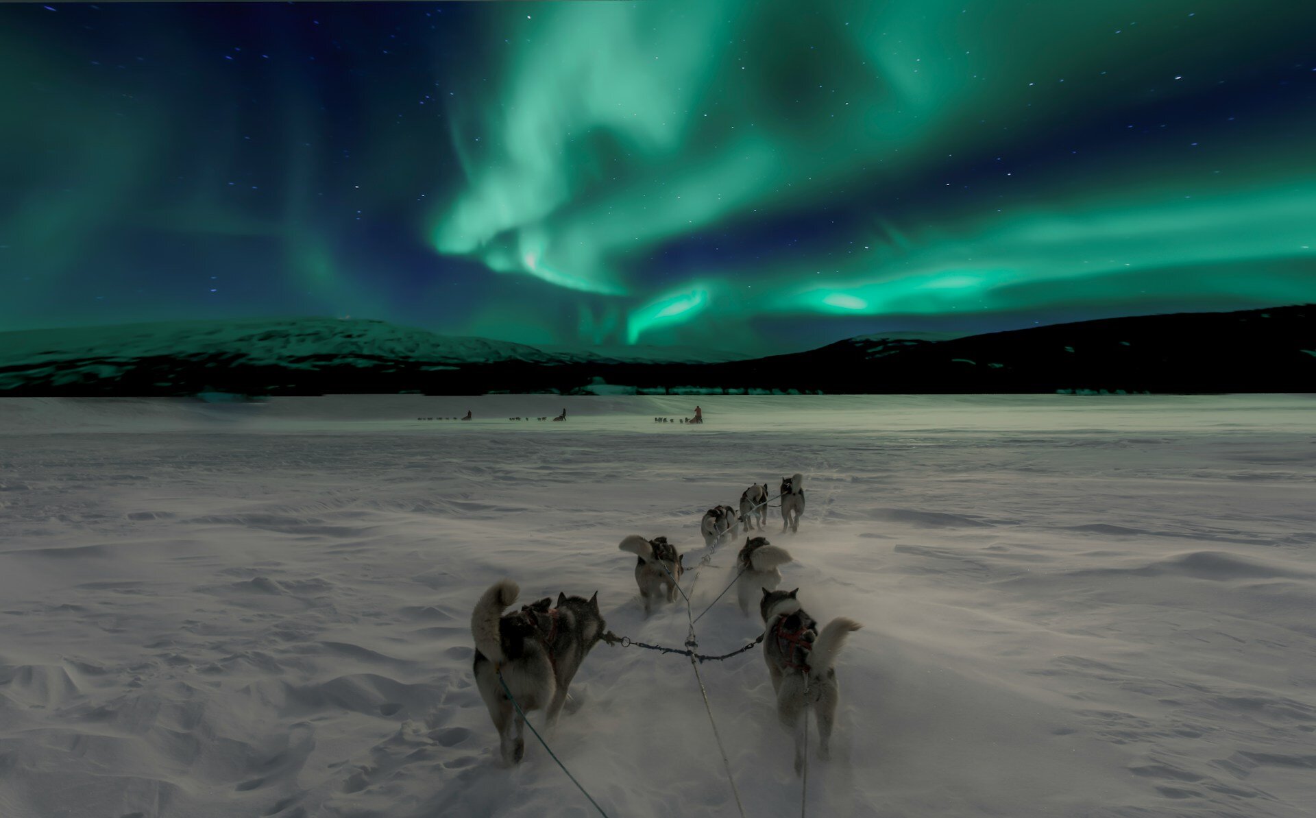 Schlittenhunde unter Aurora Borealis