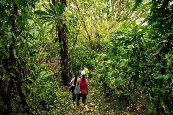 7 panama island secas aktivitaten