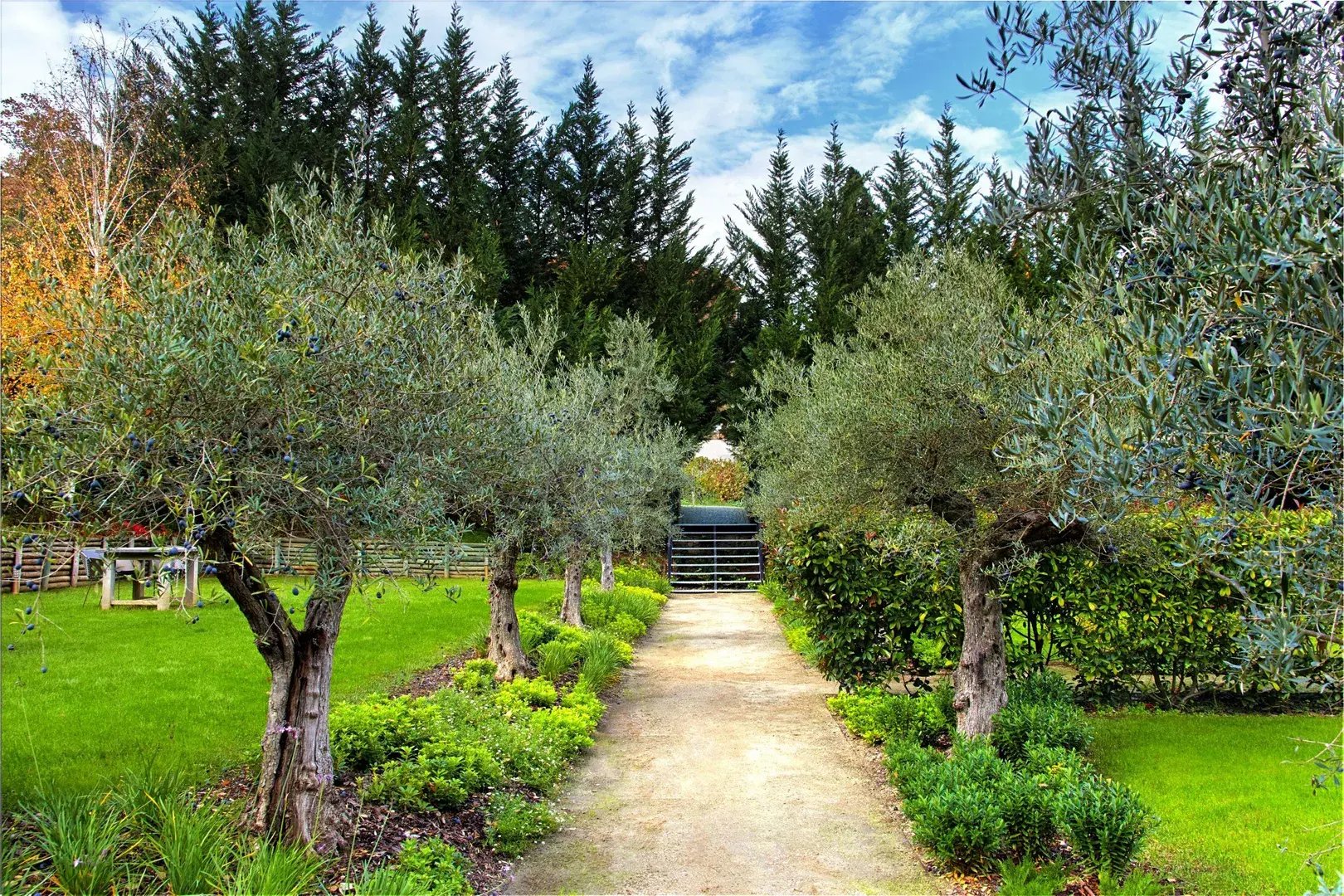 7 portugal garten landschaft
