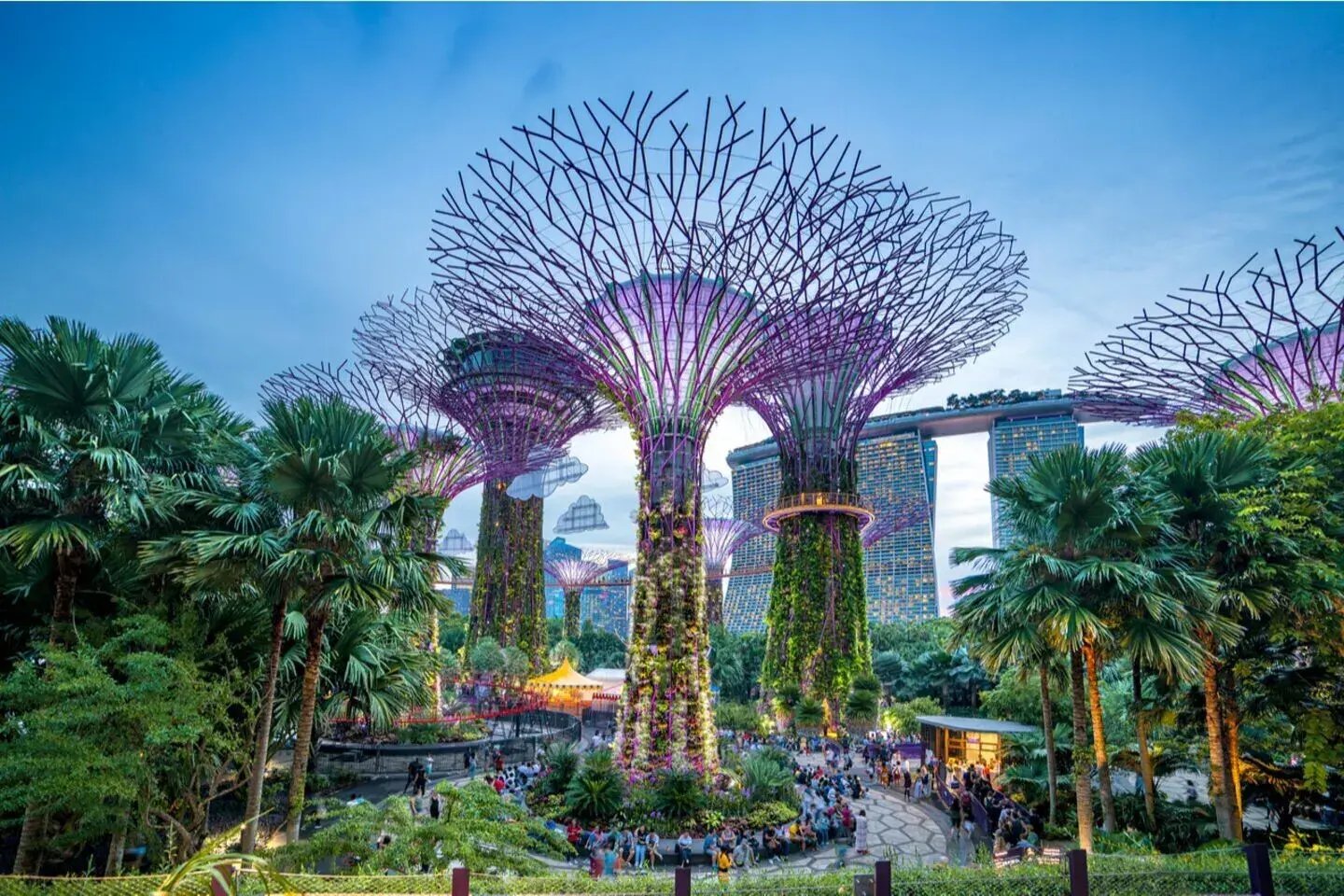 2 futuristic garden singapur unvergleichliche architektur familienluxusreise
