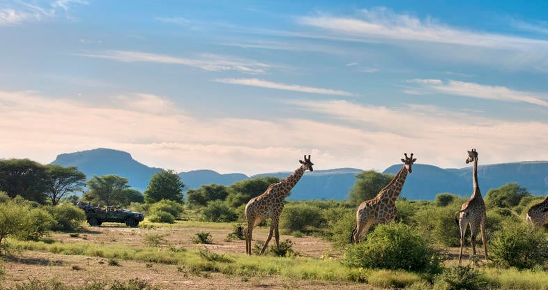waterberg
