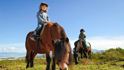 grootbos-private-nature-reserve-afrika-reiten