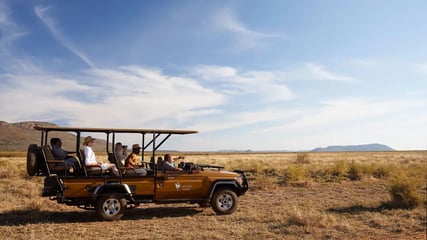 molori-safari-lodge-madikwe-sudafrika-afrika-game-drive-aktivitaten-safari-exklusiv-the-family-project-kinde-kopie