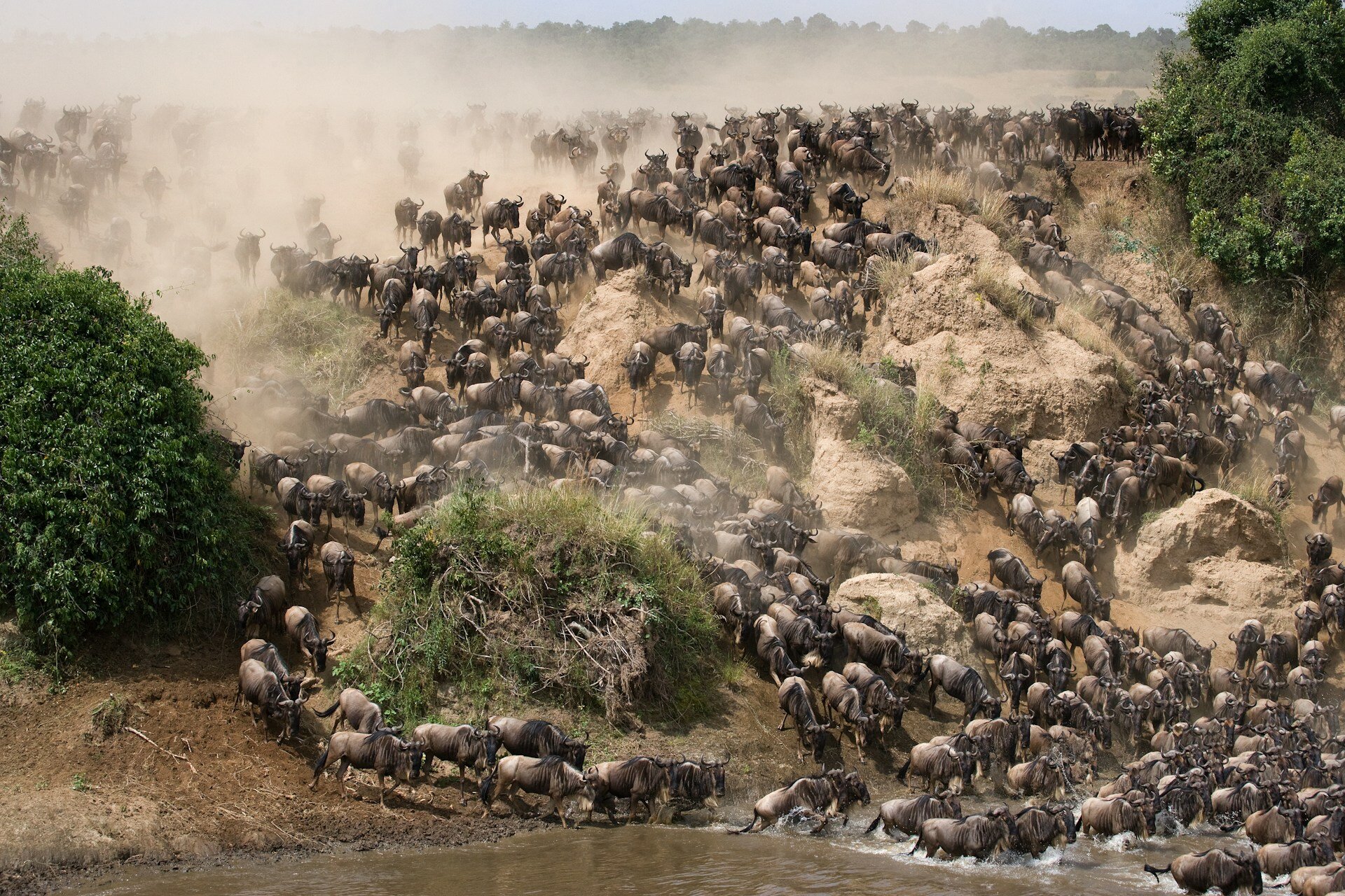 Big Migration in Tansania