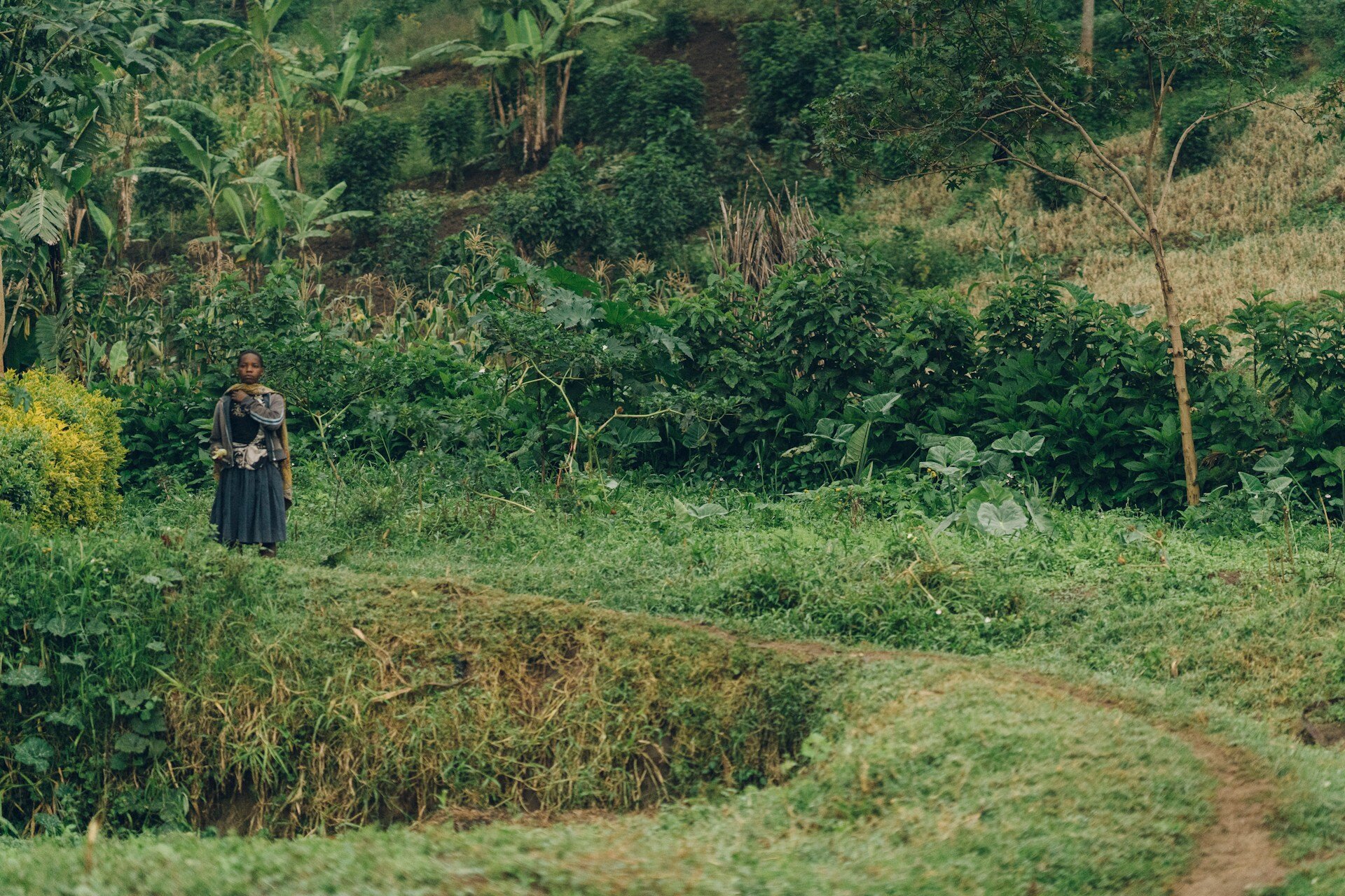 Natur von Uganda