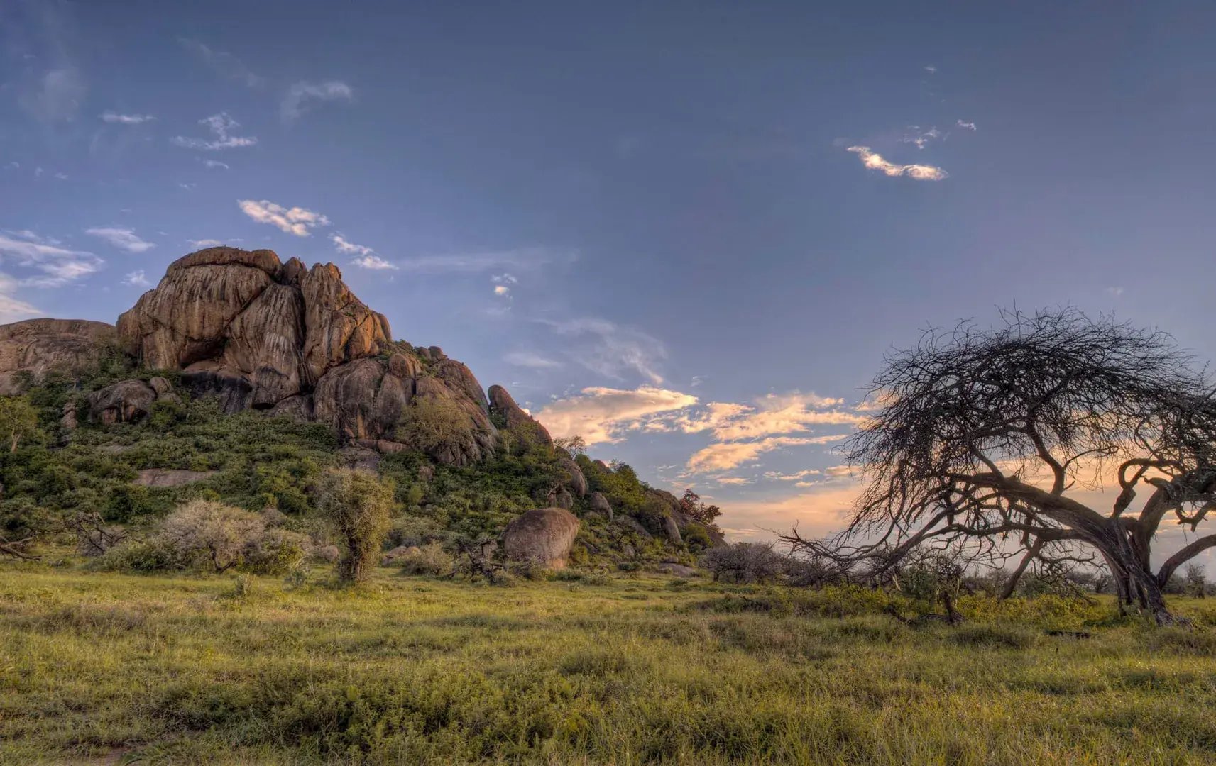 laikipia-natur-baum-huegel