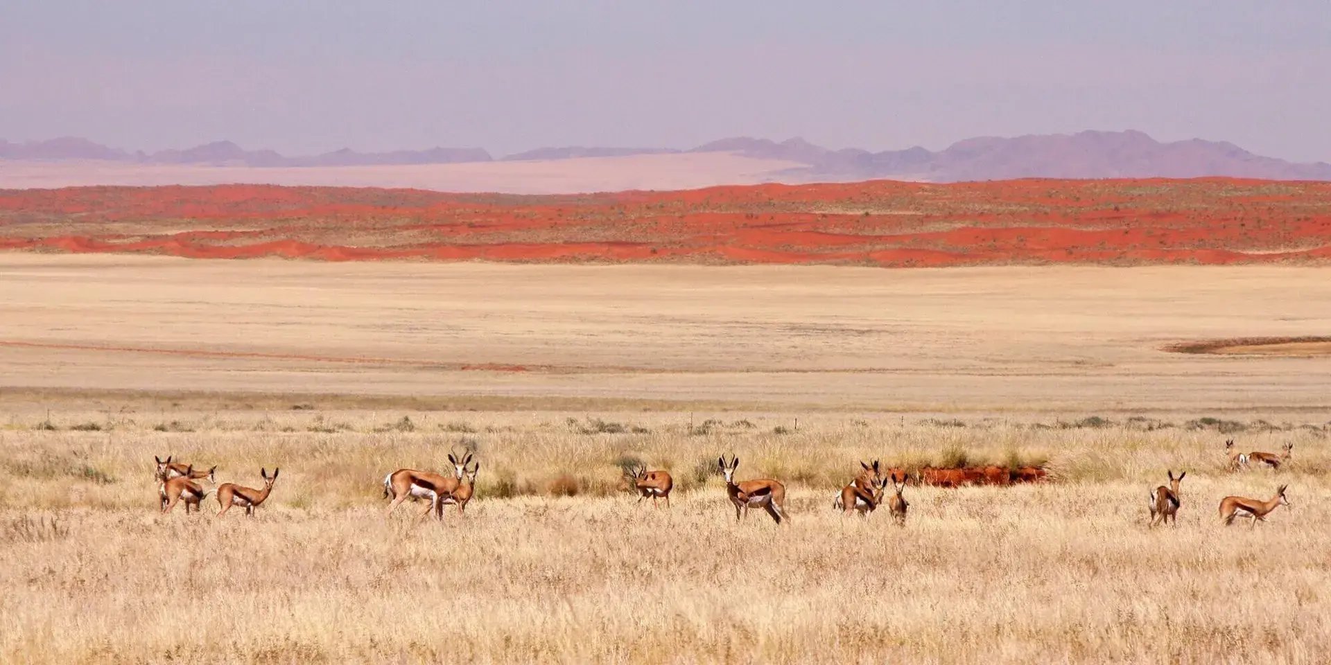 namib desert safari perfekt fuer familienluxusreise