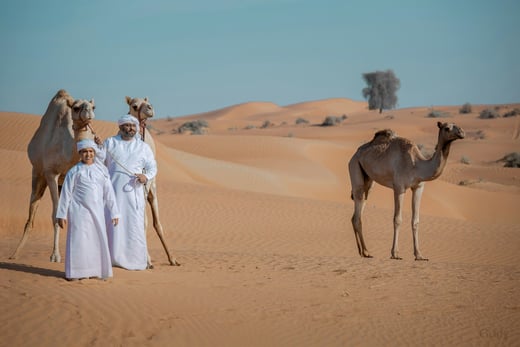 6-Ras al Khaimah-Wüste-Kamele