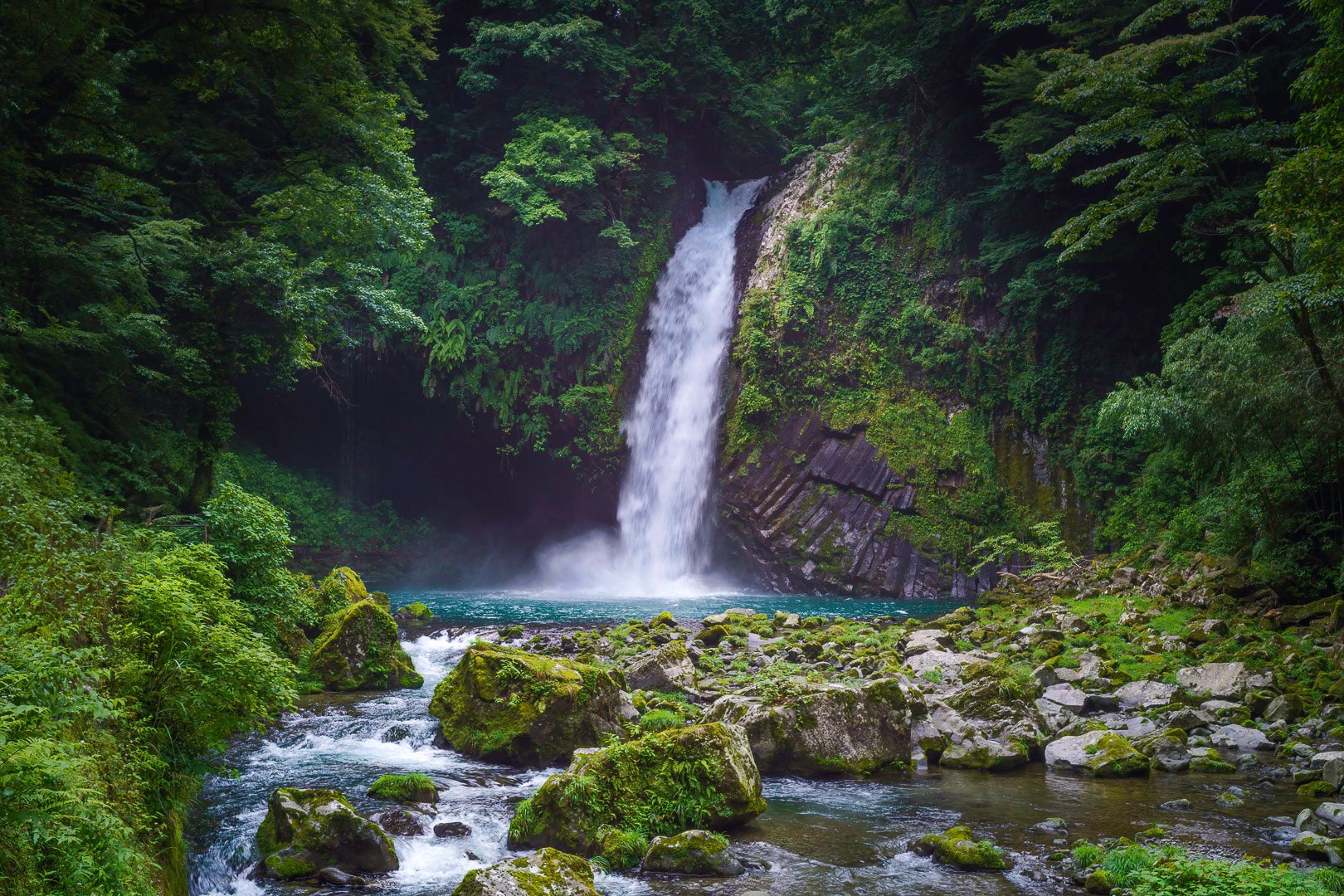 Natur der Izu Halbinsel in Japan