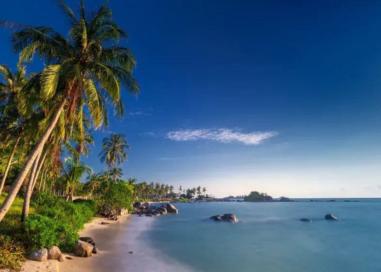 bintan island palmenstrand bei familienluxusreise
