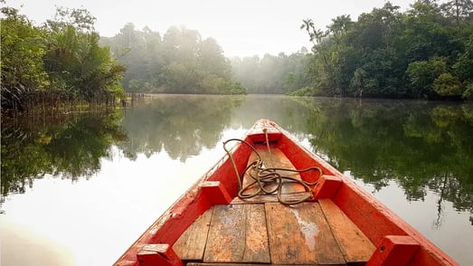 cardamom mountains erlebnis fur familien