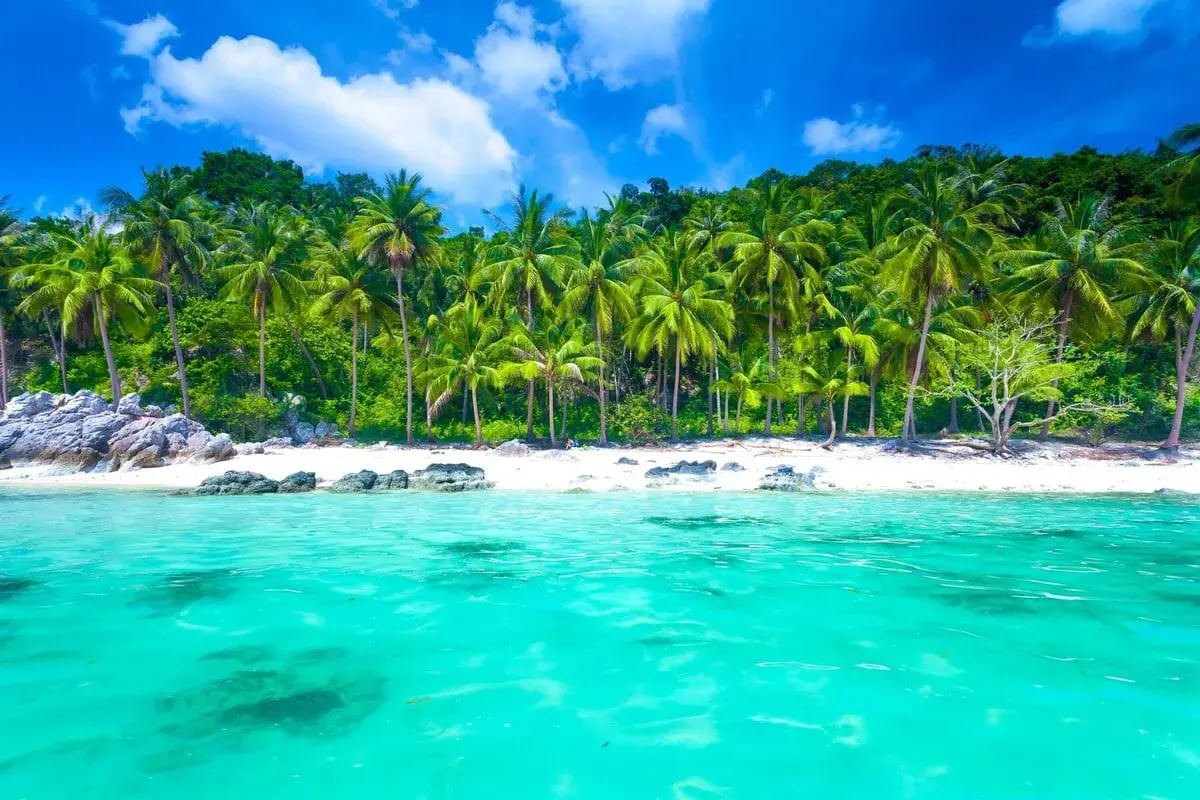 koh samui palmenstrand bei familienluxusreise