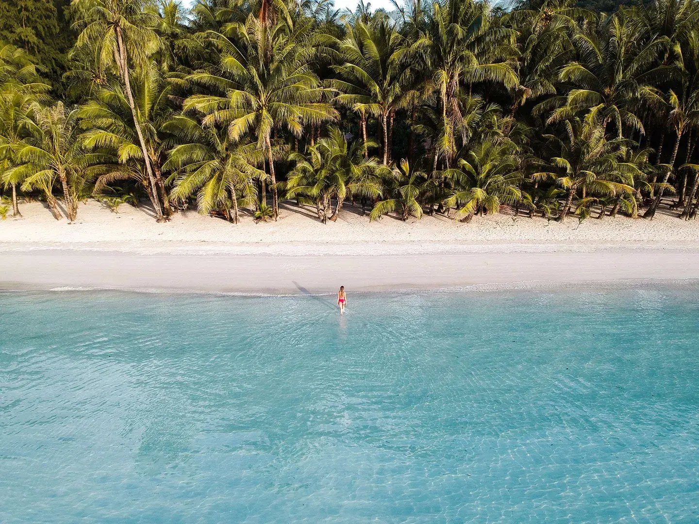 kohkood insel naturerlebnis perfekt fuer familienreise