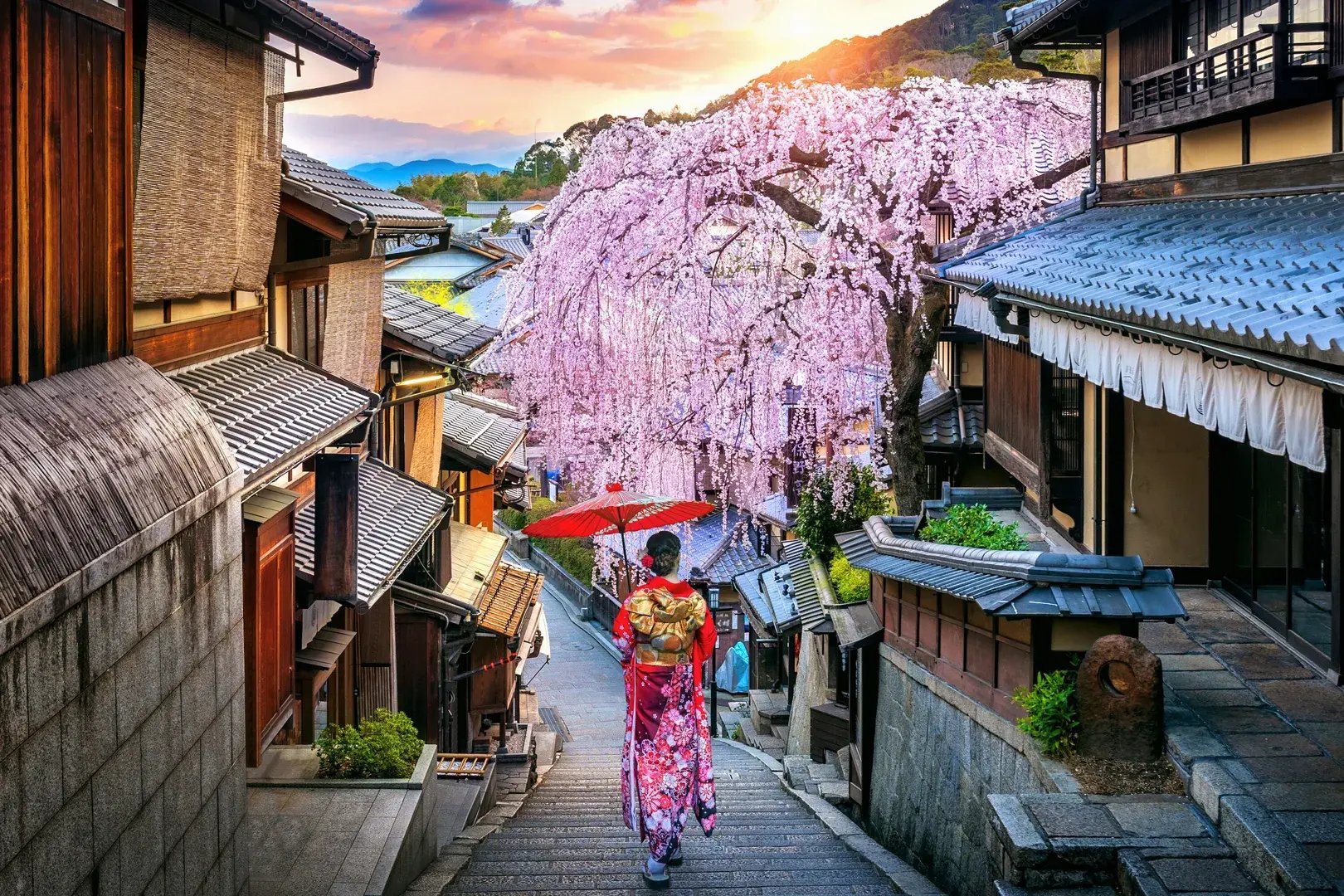 kyoto stadt besichtigung bei familienluxusreise