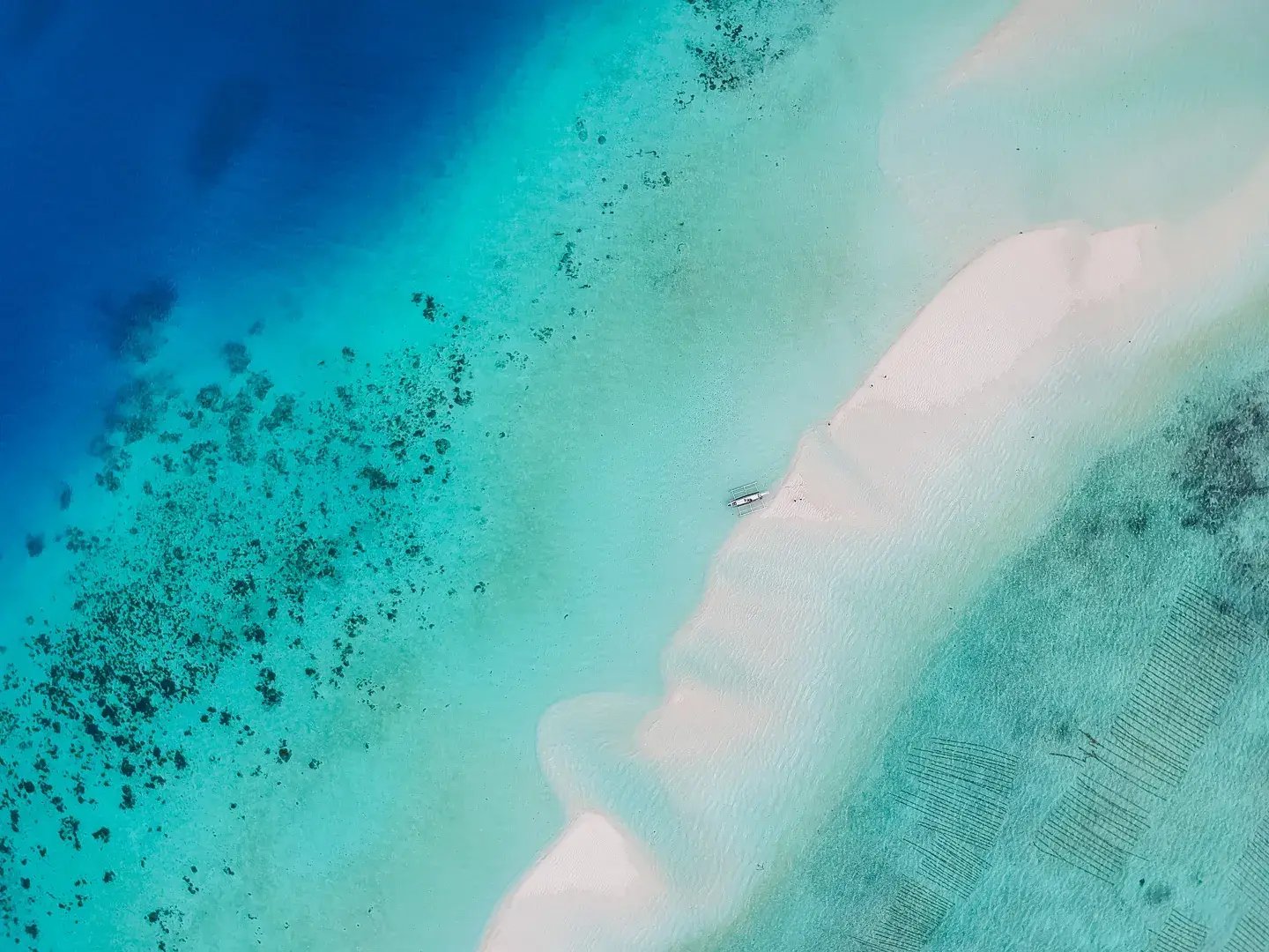 siargao palmenstrand bei familienluxusreise