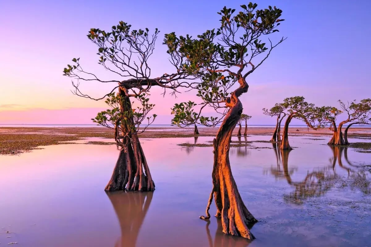 sumba traumstrand bei familienluxusreise