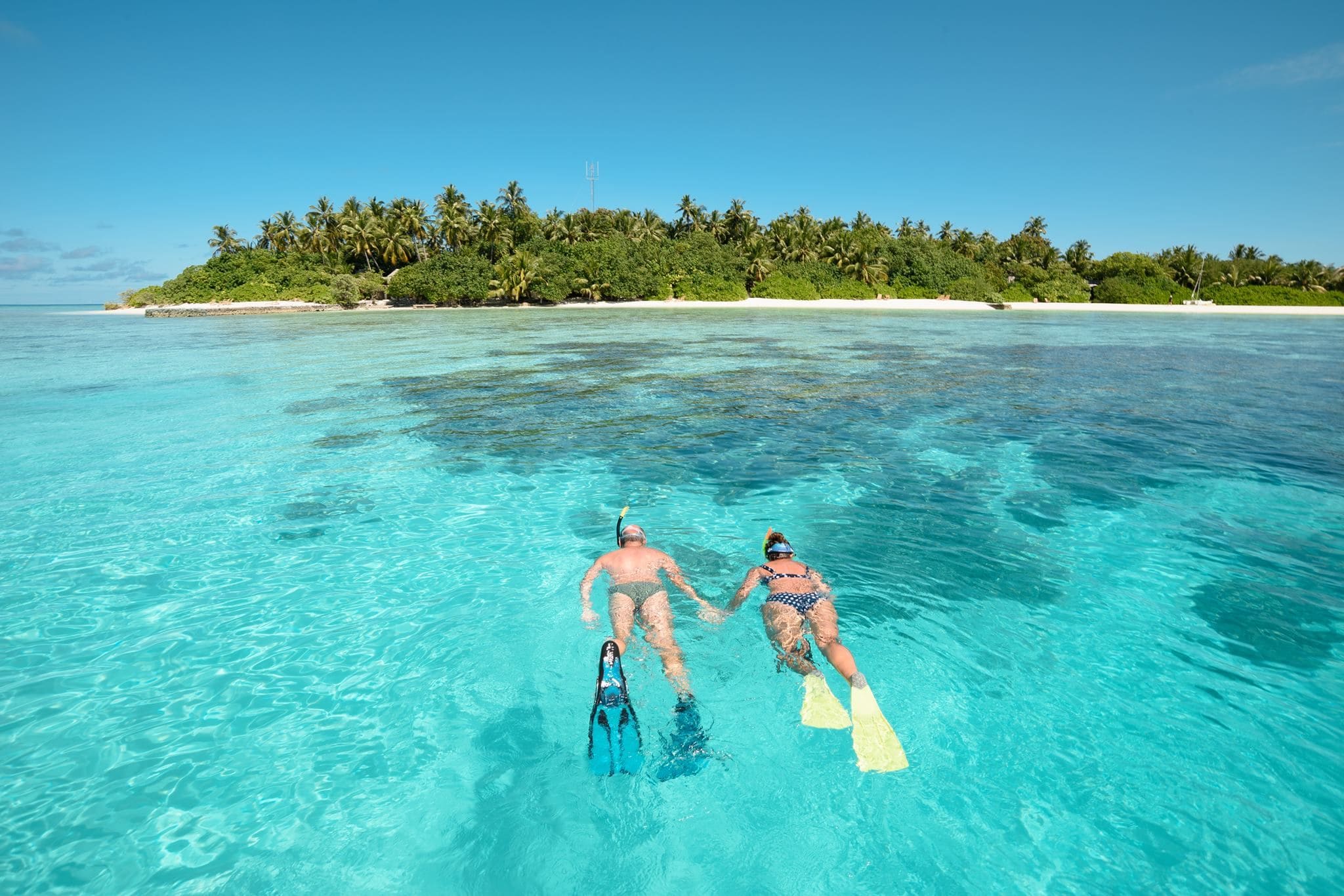 Ein Pärchen schnorchelt im glasklaren Wasser vor einer Insel.
