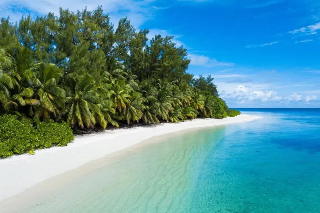 desroches island palmenstrand perfekt fuer familien