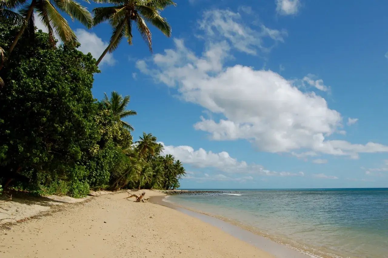 Strand mit vielen Palmen, Wolken sind am Himmel zu sehen