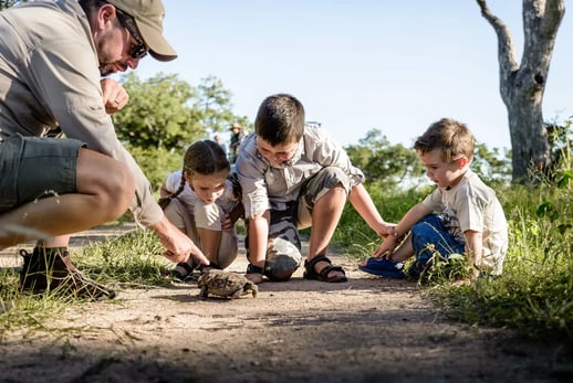 Ein Mann, zwei Jungen und ein Mädchen hocken am Boden und beobachten eine Schildkröte, die über den Weg läuft